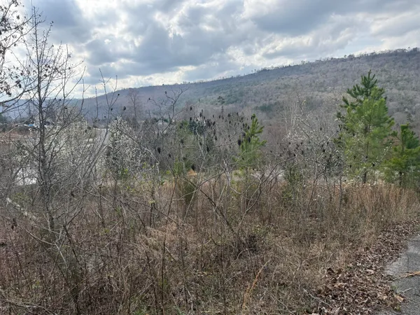 $149,900 | 10 Tanglewood Trail, Trenton, GA 30752