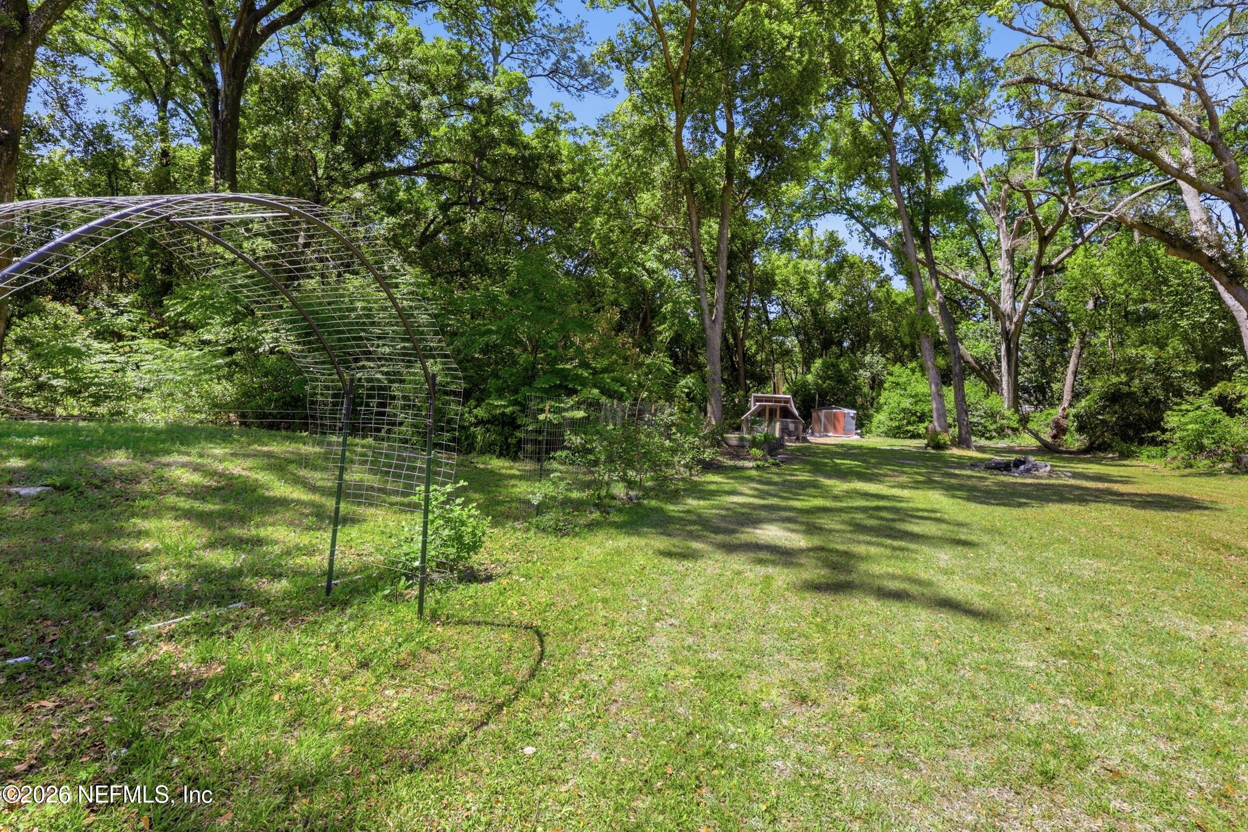 1654 E Road Jacksonville, FL 32216 - Photo 39 of 54 Backyard