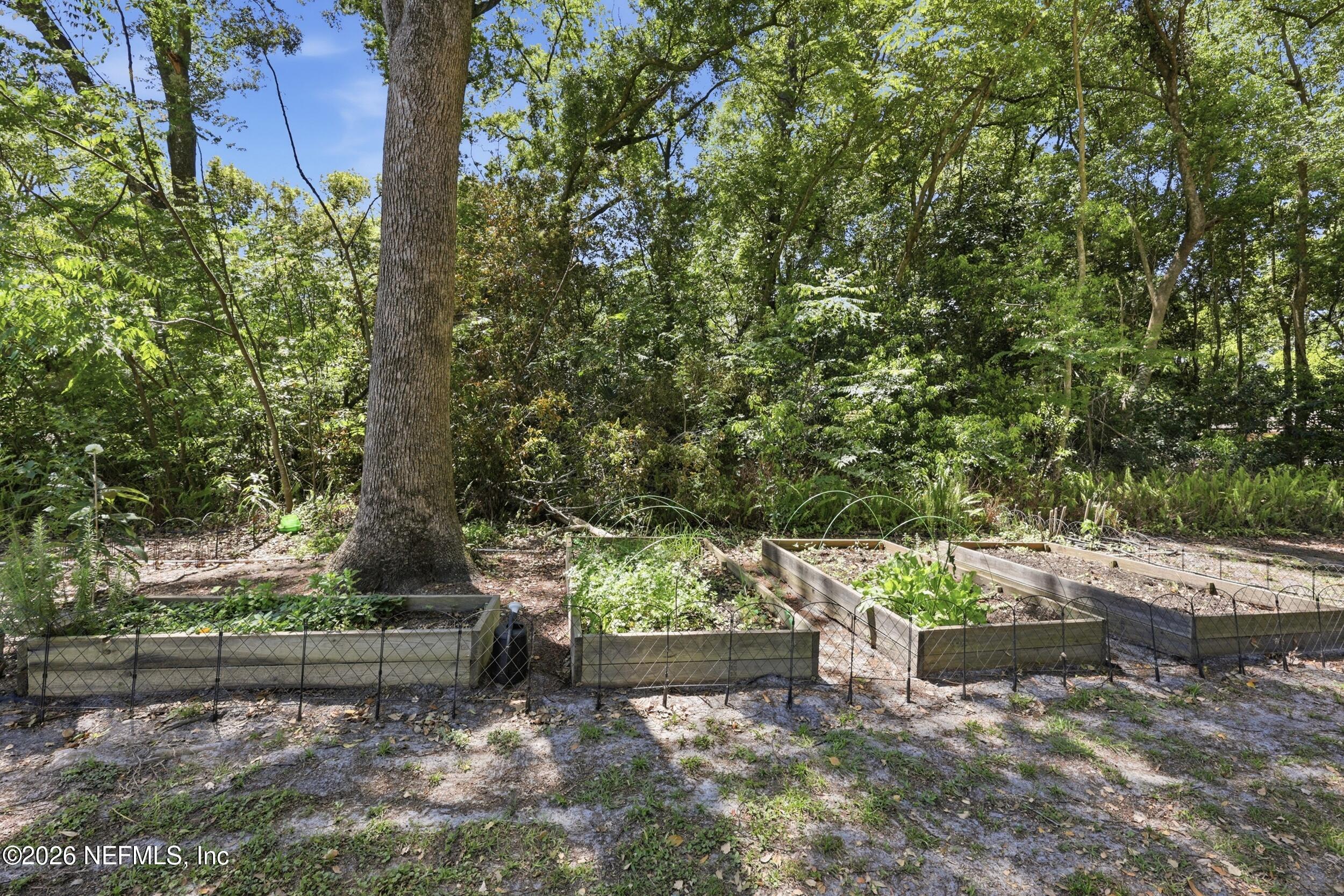 1654 E Road Jacksonville, FL 32216 - Photo 41 of 54 Garden