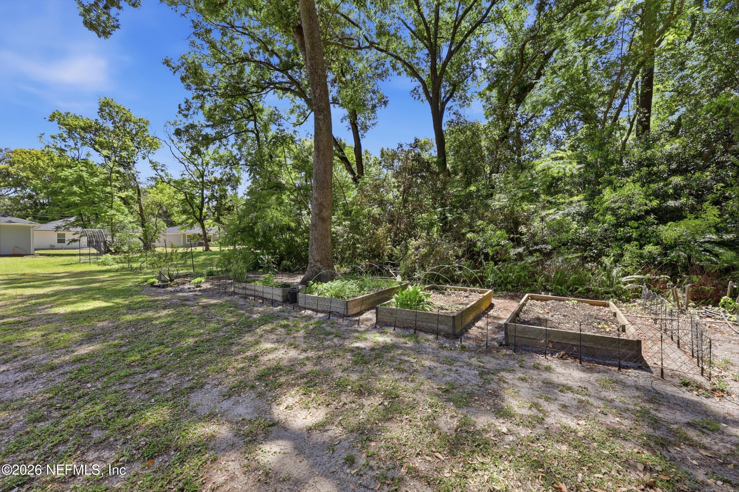 1654 E Road Jacksonville, FL 32216 - Photo 42 of 54 Garden