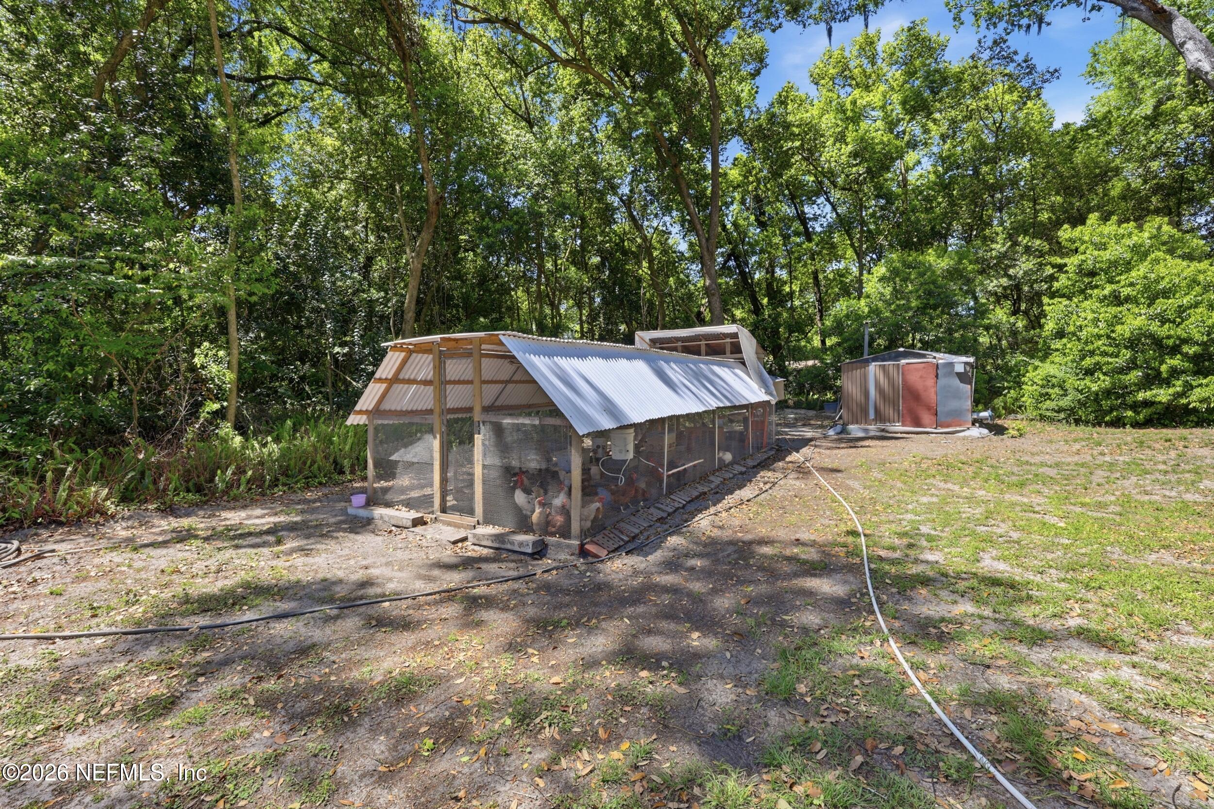 1654 E Road Jacksonville, FL 32216 - Photo 43 of 54 Chicken Coop & Shed