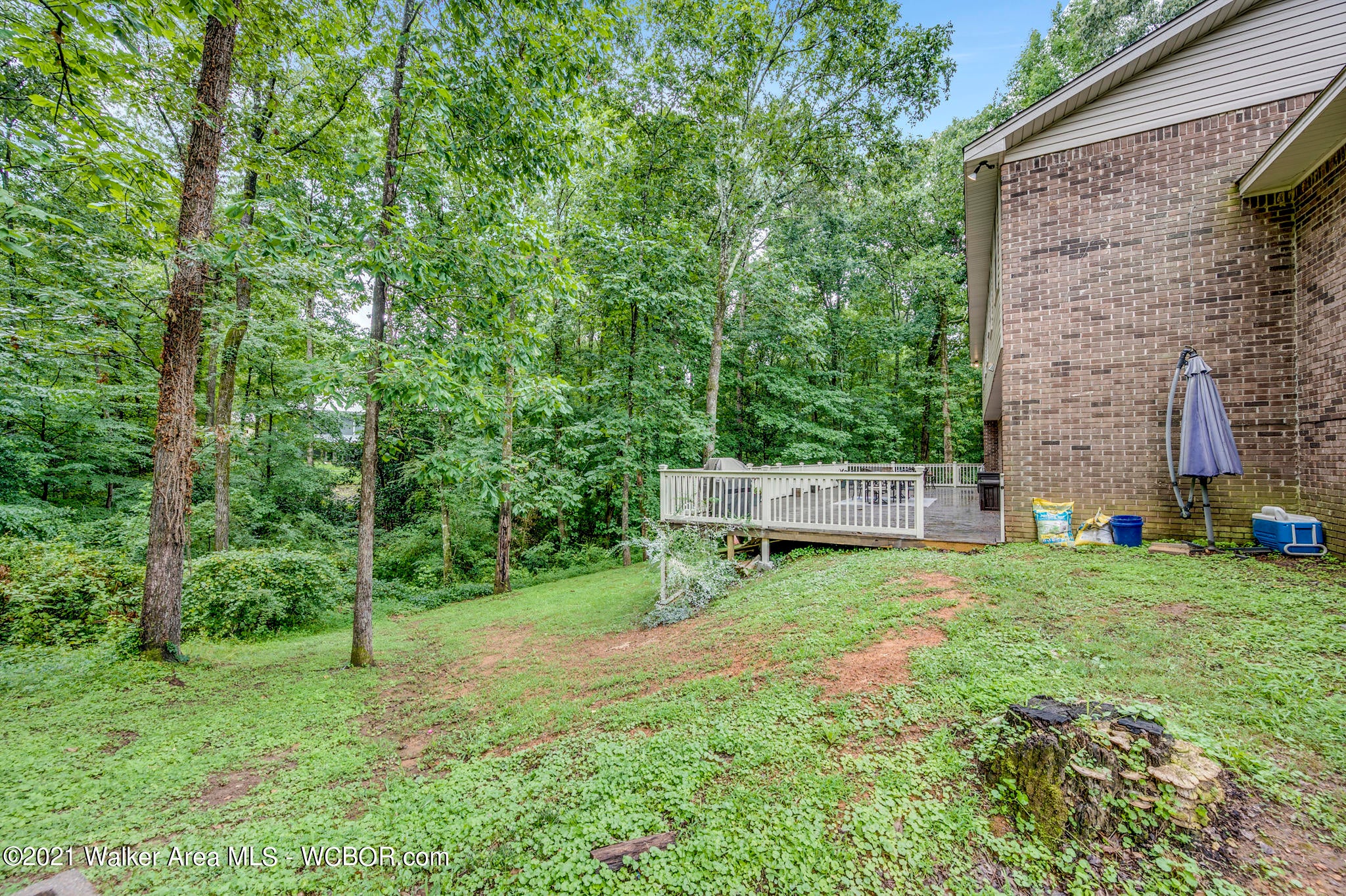 2601 Briarcliff Road Jasper, AL 35504 - Photo 4 of 31 Gallery Image 4