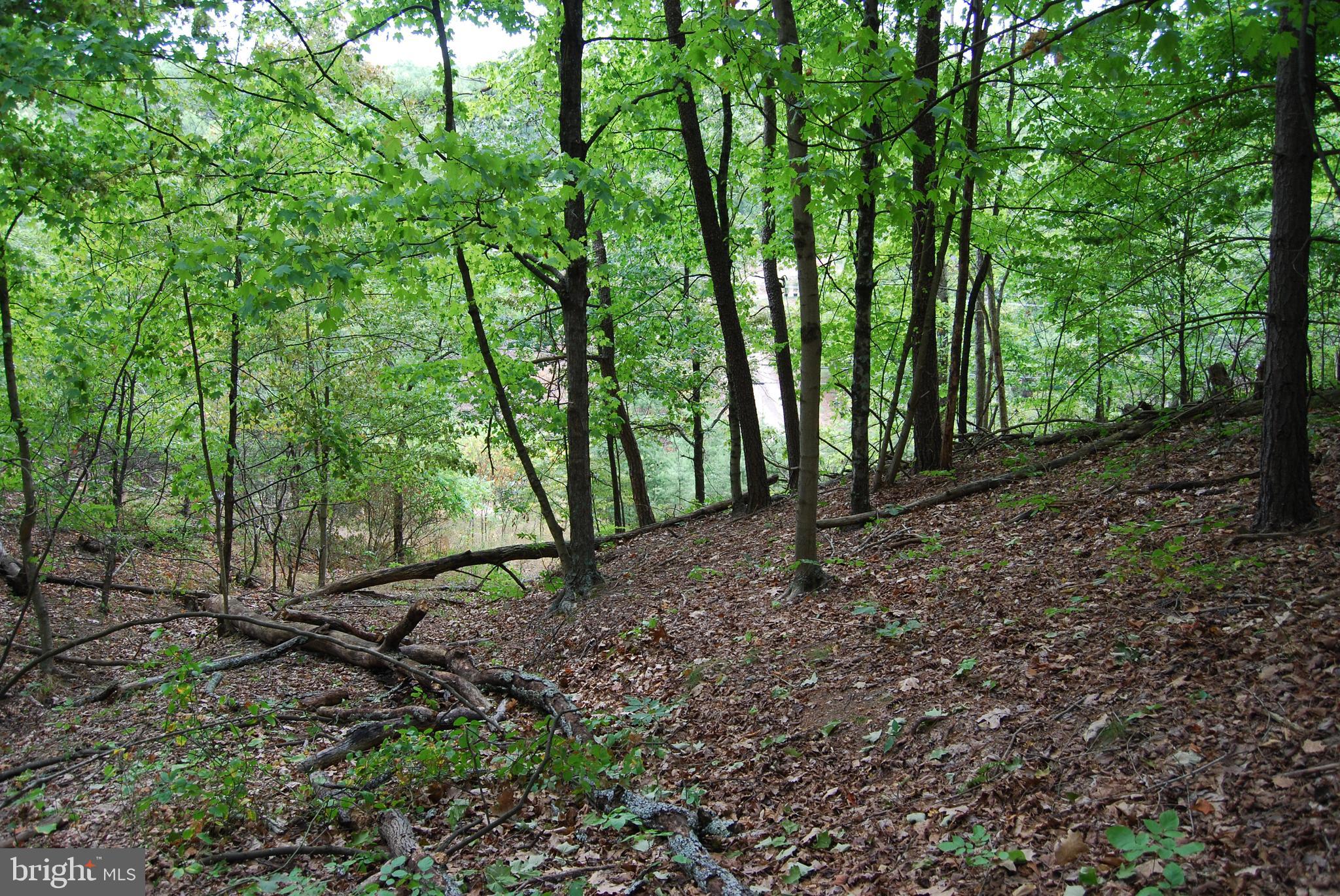 Winchester Grade Road Berkeley Springs, WV 25411 - Photo 1 of 17