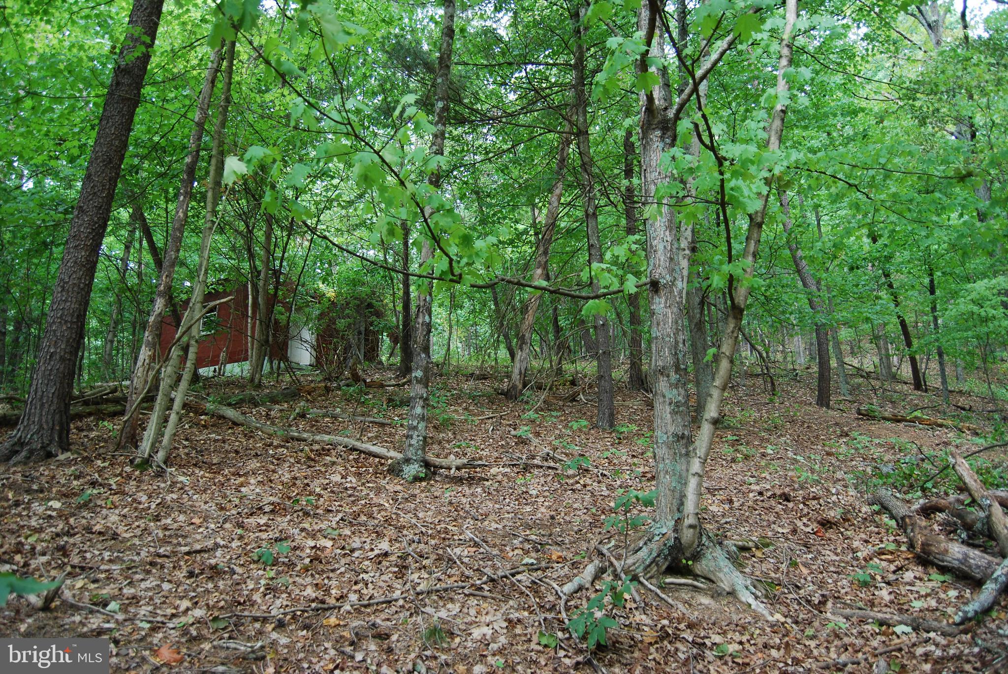 Winchester Grade Road Berkeley Springs, WV 25411 - Photo 13 of 17