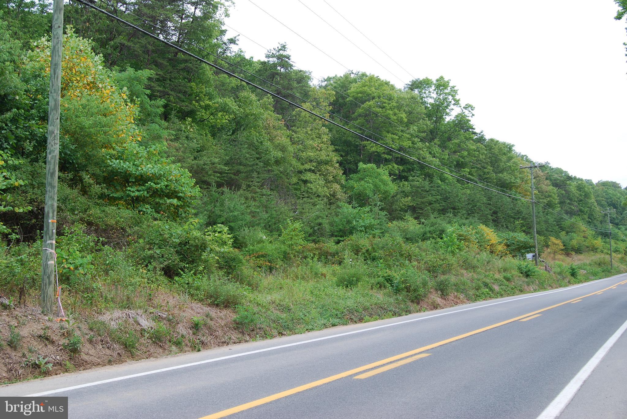 Winchester Grade Road Berkeley Springs, WV 25411 - Photo 4 of 17