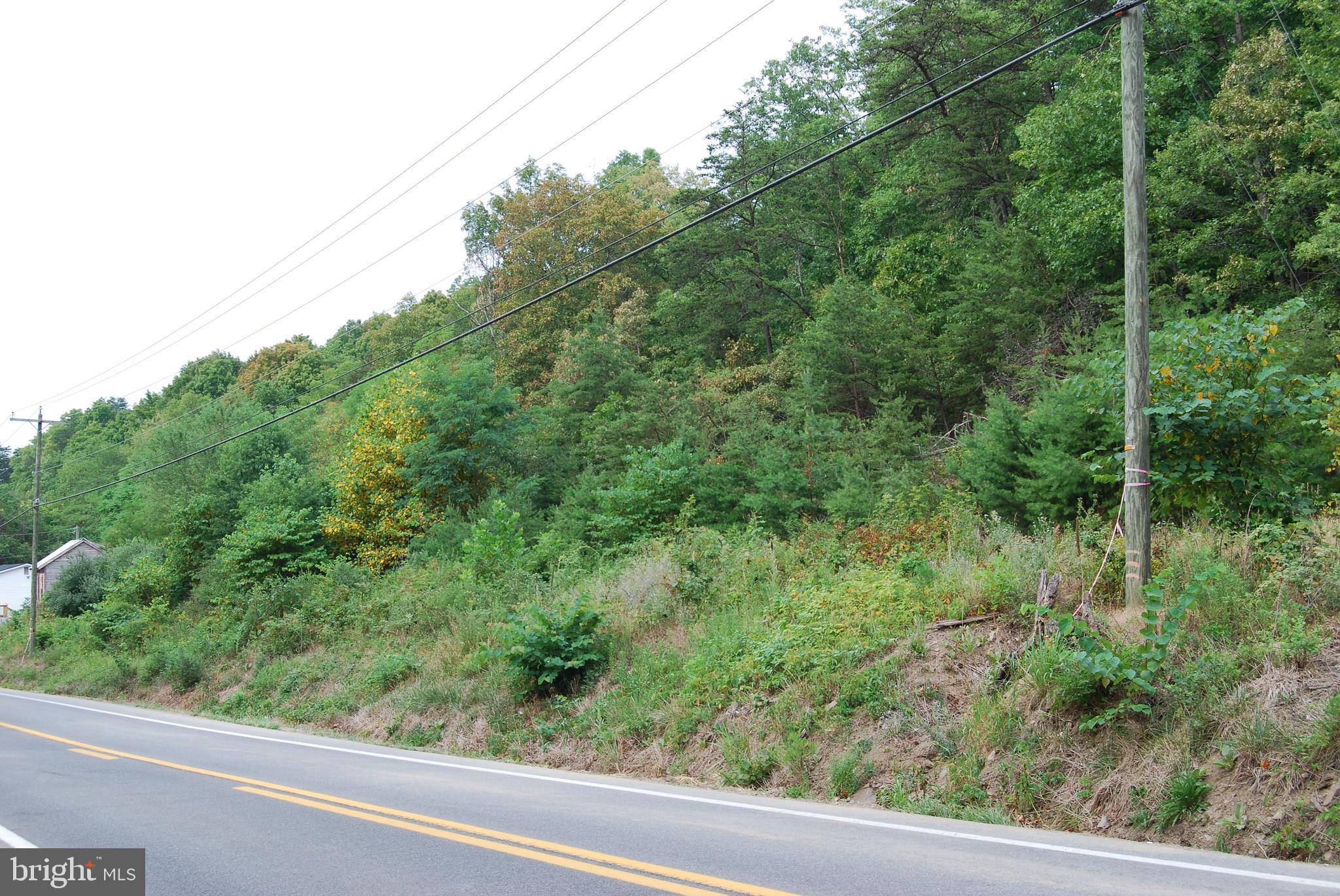 Winchester Grade Road Berkeley Springs, WV 25411 - Photo 5 of 17