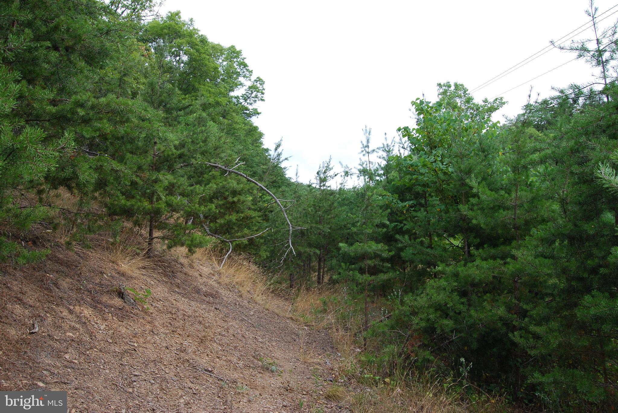 Winchester Grade Road Berkeley Springs, WV 25411 - Photo 7 of 17