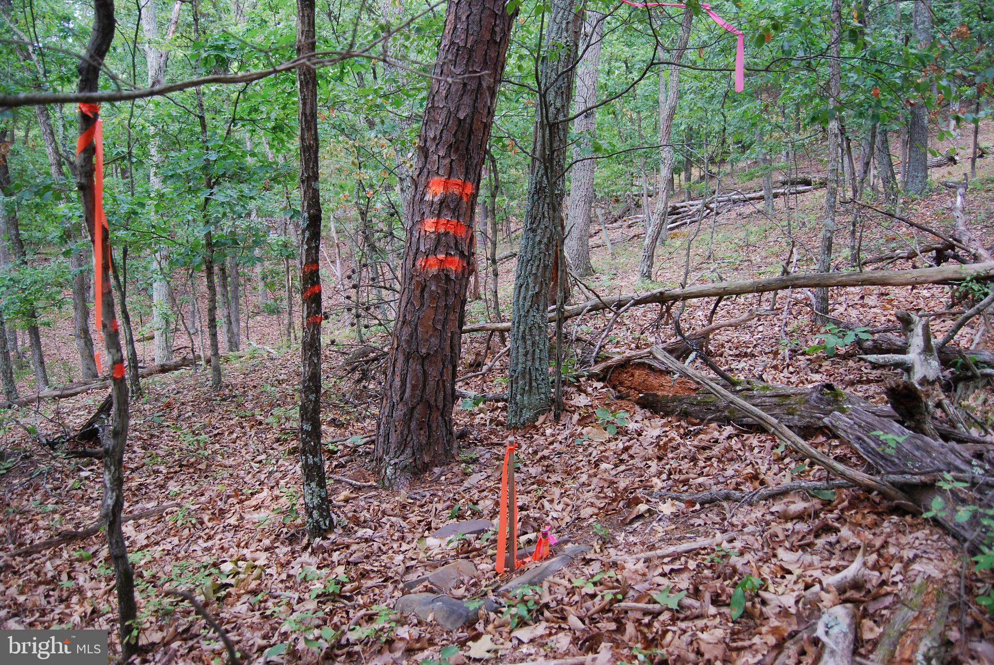 Winchester Grade Road Berkeley Springs, WV 25411 - Photo 10 of 17