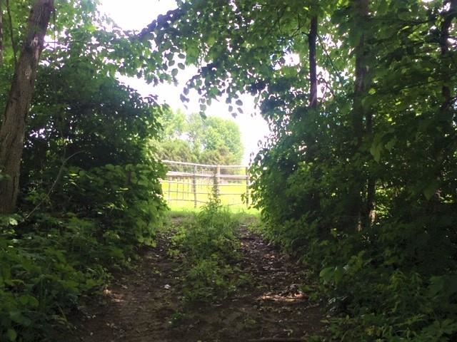 5562 Highway 25 Rochester, IN 46975 - Photo 21 of 28