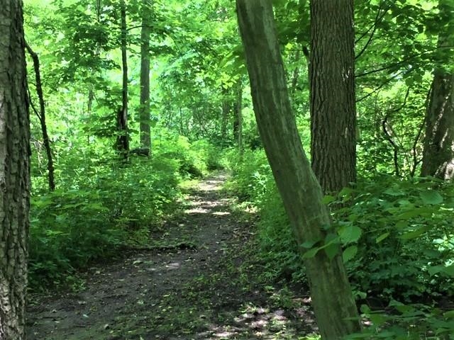 5562 Highway 25 Rochester, IN 46975 - Photo 23 of 28