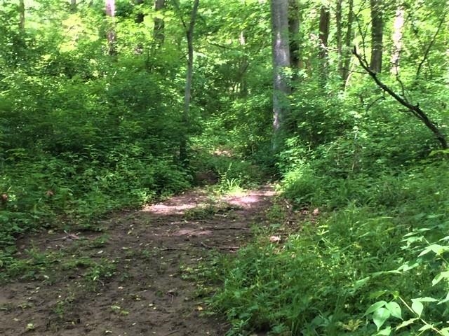5562 Highway 25 Rochester, IN 46975 - Photo 24 of 28