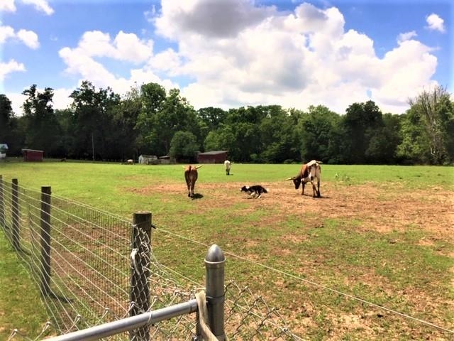 5562 Highway 25 Rochester, IN 46975 - Photo 27 of 28