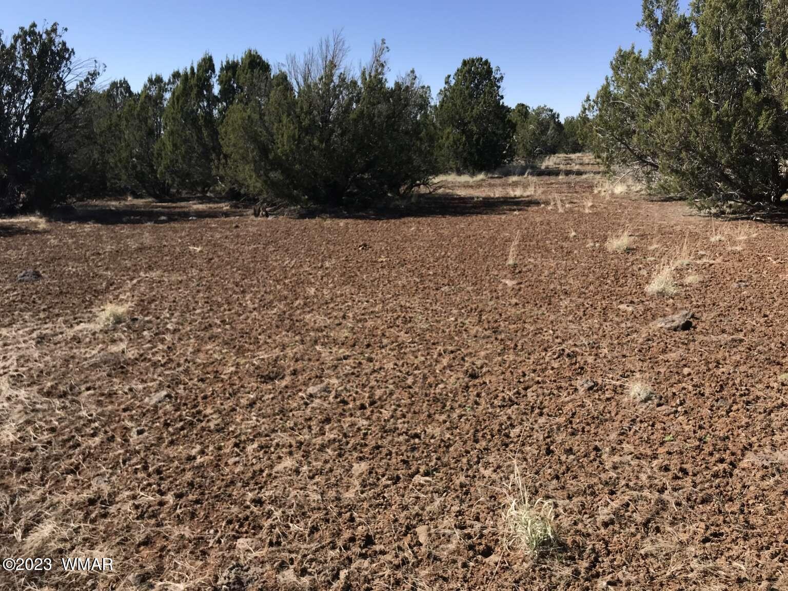 7 Chamisa Ranches Road Show Low, AZ 85901 - Photo 13 of 25 Gallery Image 13