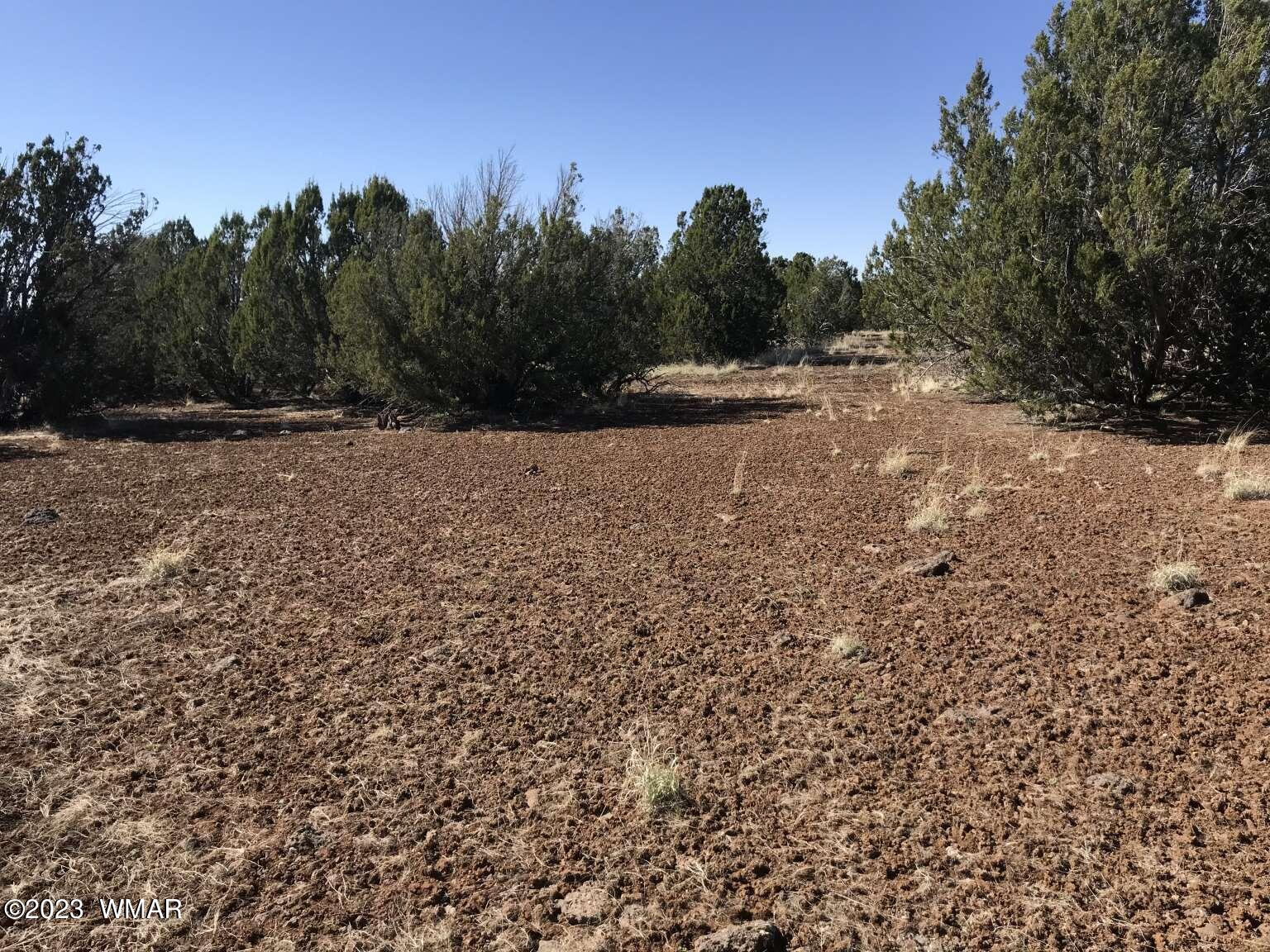 7 Chamisa Ranches Road Show Low, AZ 85901 - Photo 14 of 25 Gallery Image 14