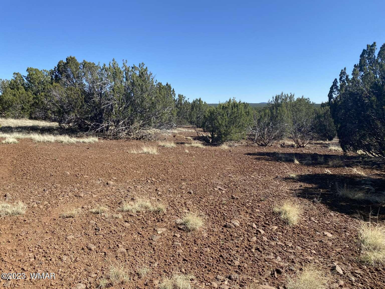 7 Chamisa Ranches Road Show Low, AZ 85901 - Photo 20 of 25 Gallery Image 20