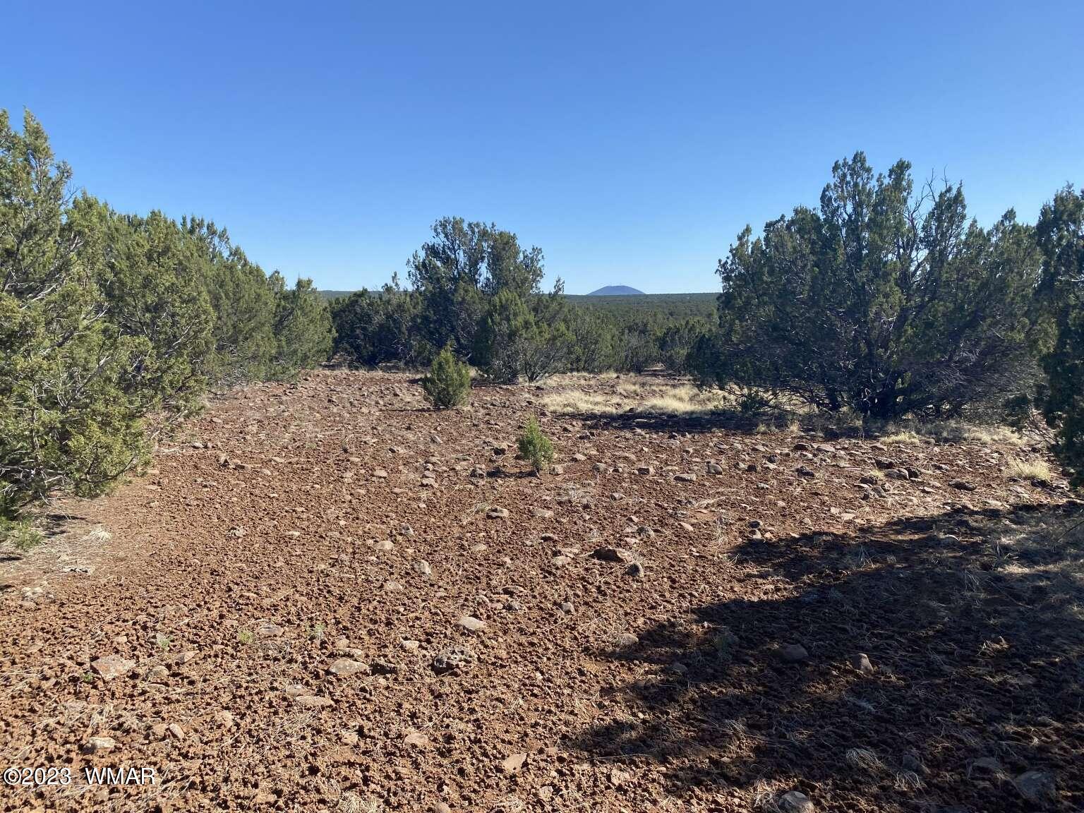 7 Chamisa Ranches Road Show Low, AZ 85901 - Photo 23 of 25 Gallery Image 23