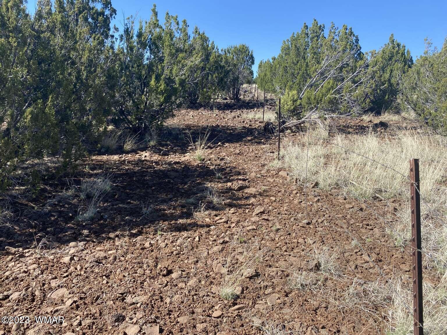 7 Chamisa Ranches Road Show Low, AZ 85901 - Photo 7 of 25 Gallery Image 7