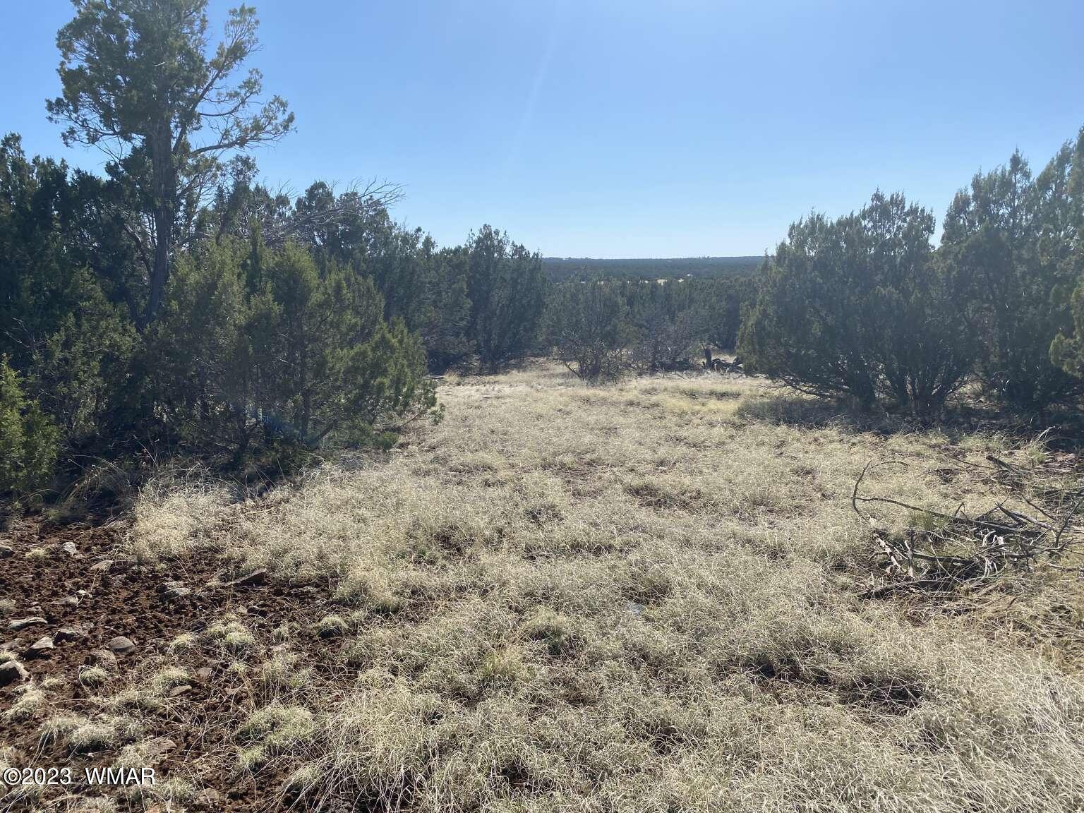 7 Chamisa Ranches Road Show Low, AZ 85901 - Photo 10 of 25 Gallery Image 10