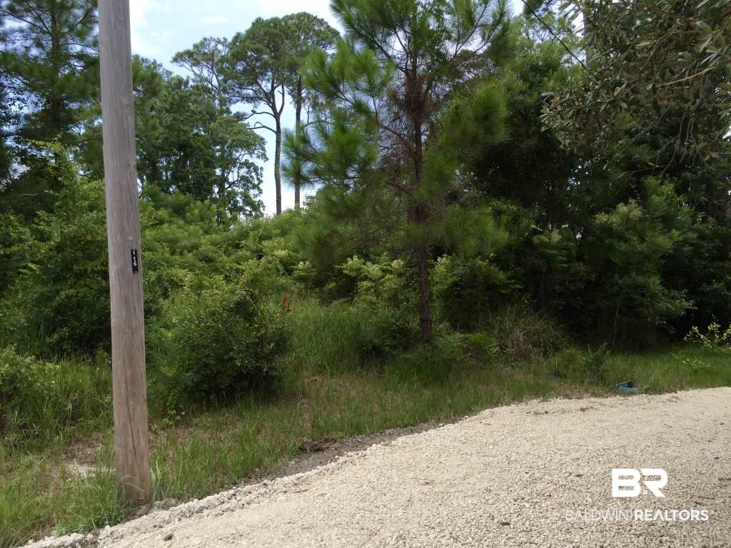 9543 Ft Morgan Road Gulf Shores, AL 36542 - Photo 2 of 28