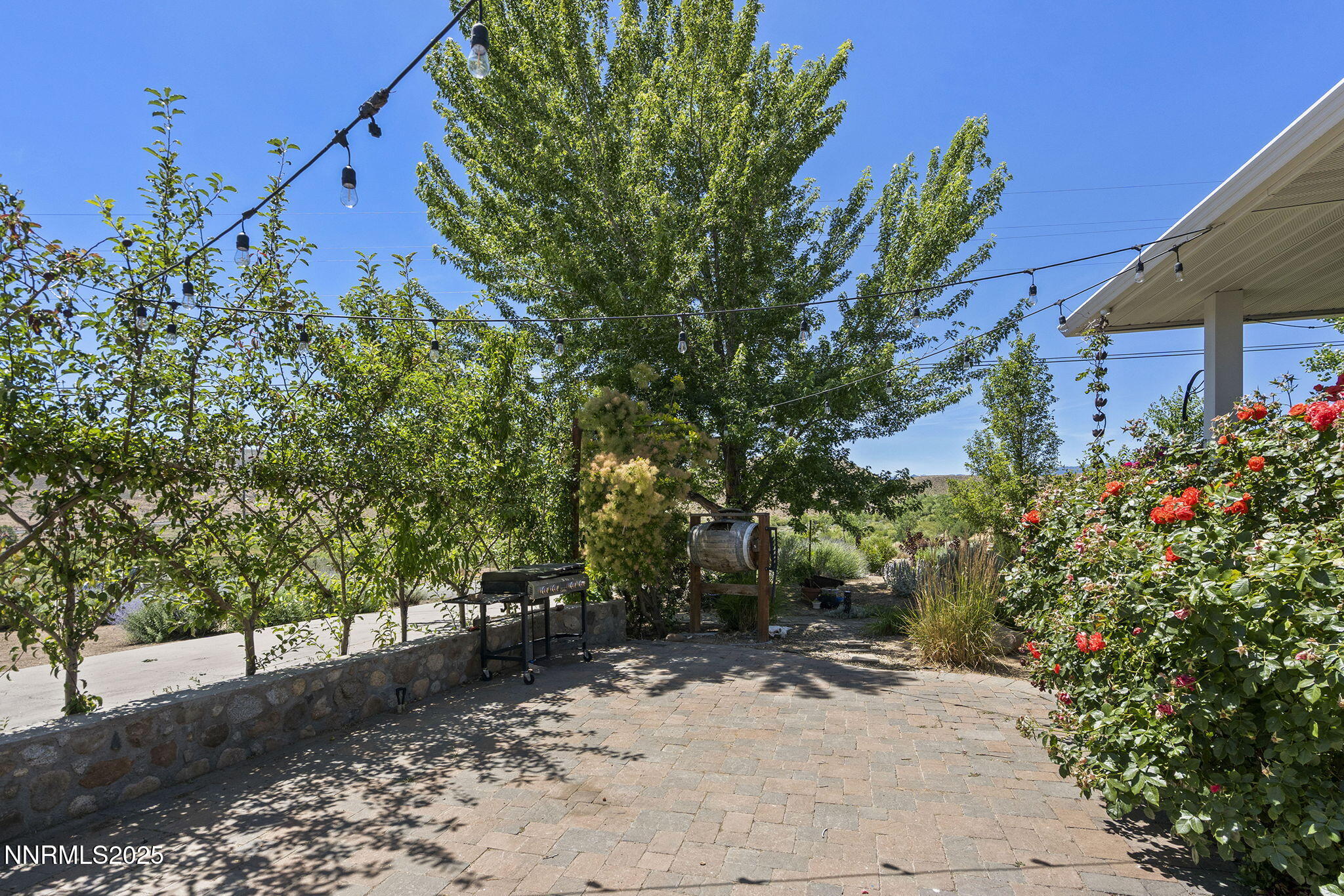 5 Connie Way Reno, NV 89521 - Photo 49 of 54 a backyard of a house with lots of green space