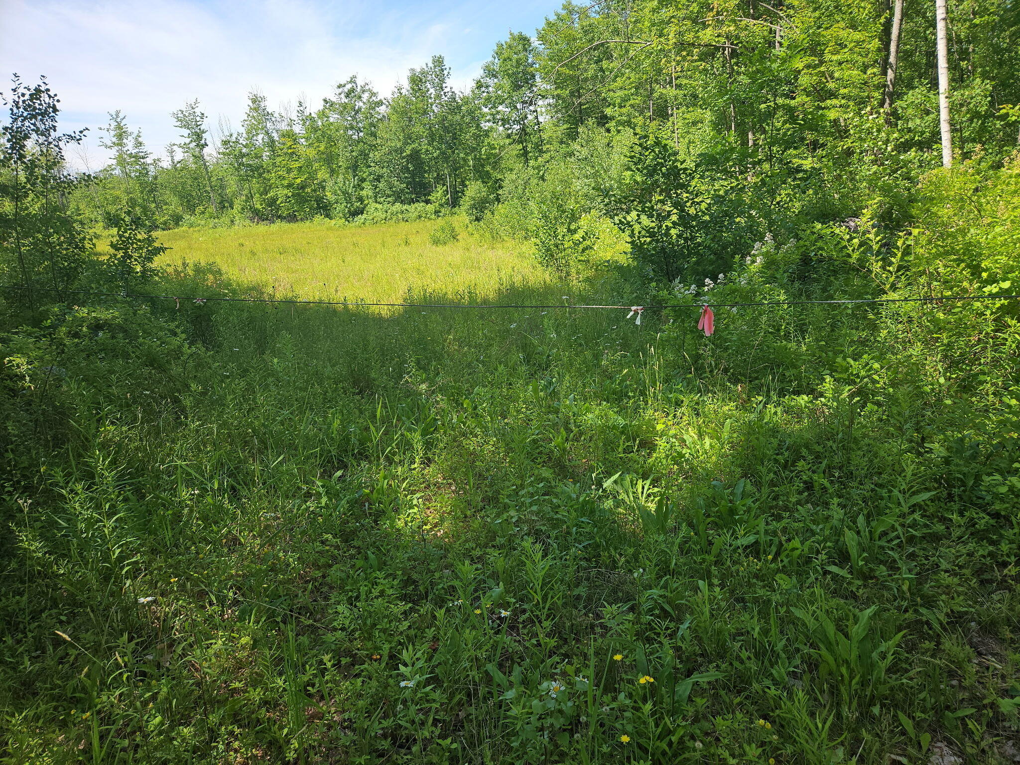 579 Maple Ridge Road Harrison, ME 04040 - Photo 2 of 3 1000006666