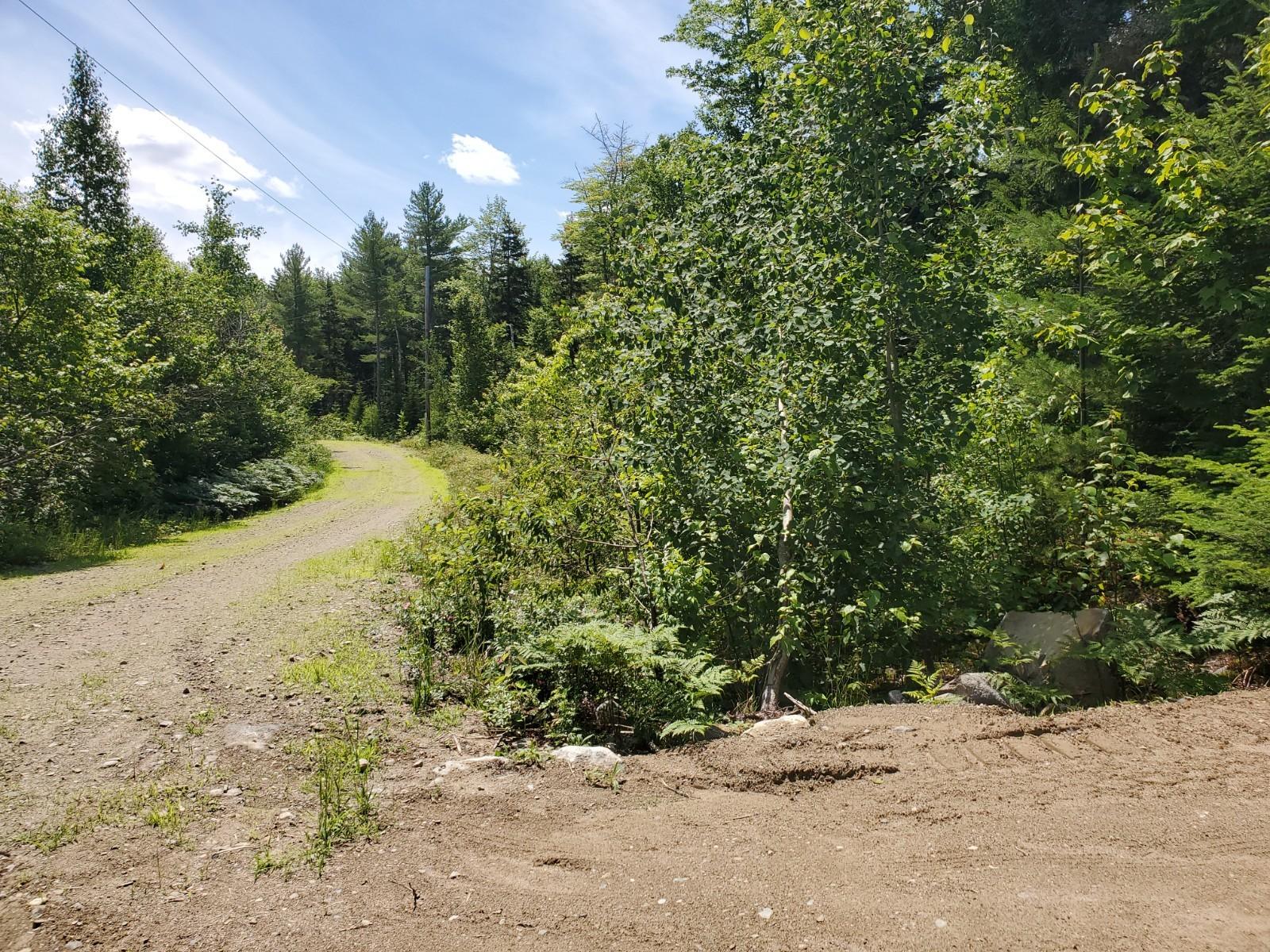 Lot 10 Birch Point Road Cooper, ME 04657 - Photo 3 of 7 20200713_114145