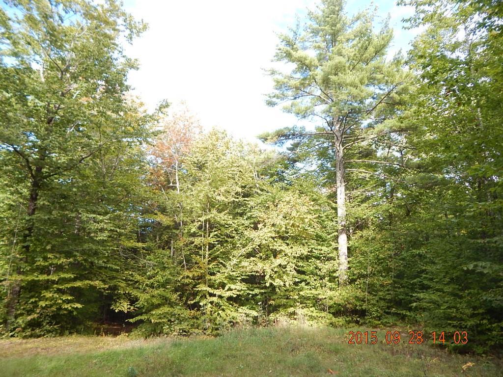 46 Nelson Ridge Road North Washington, ME 04574 - Photo 4 of 12 Photo