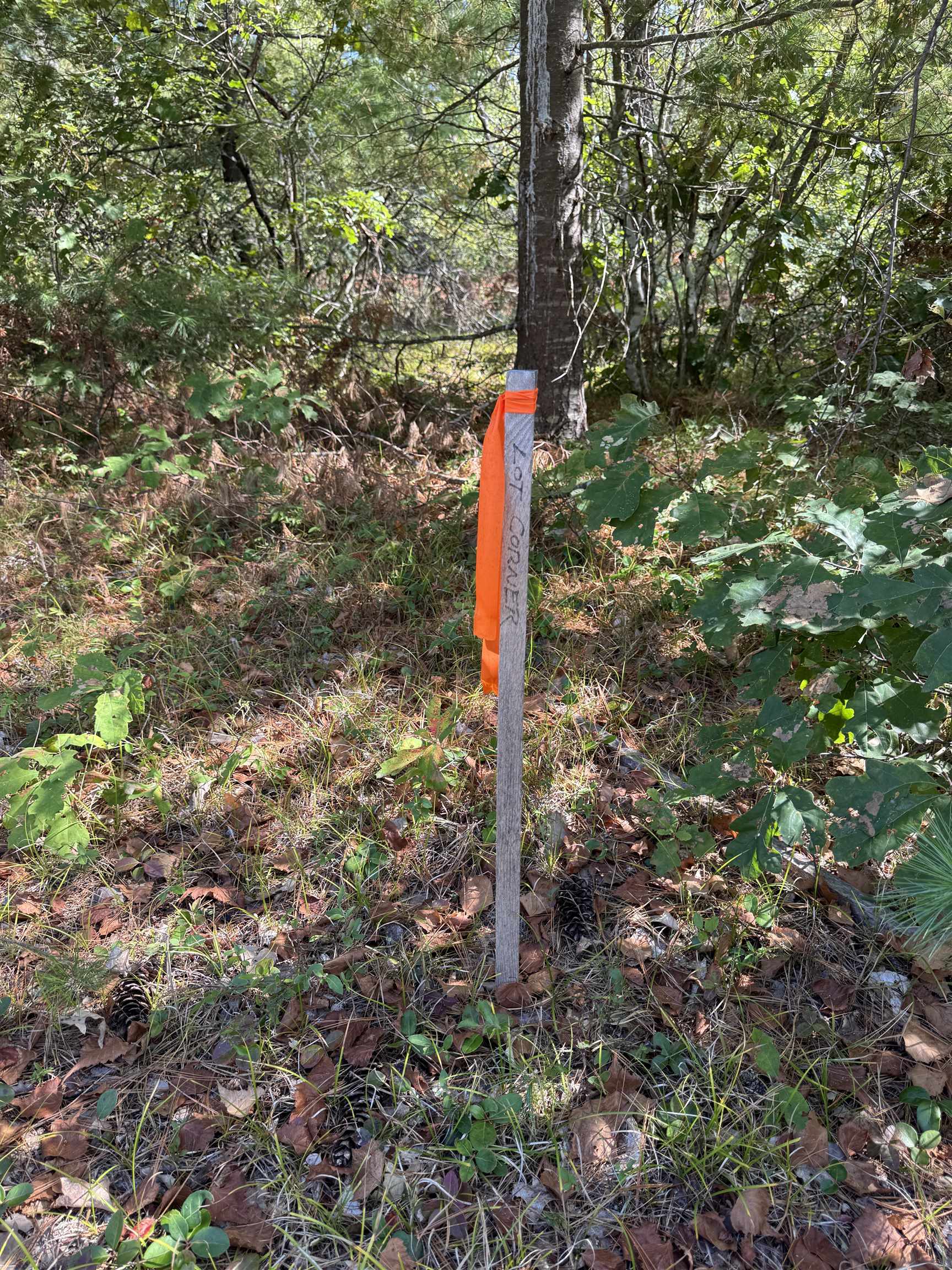 5-11 Friedman Lane, Unit 11 Freedom, NH 03836 - Photo 6 of 9