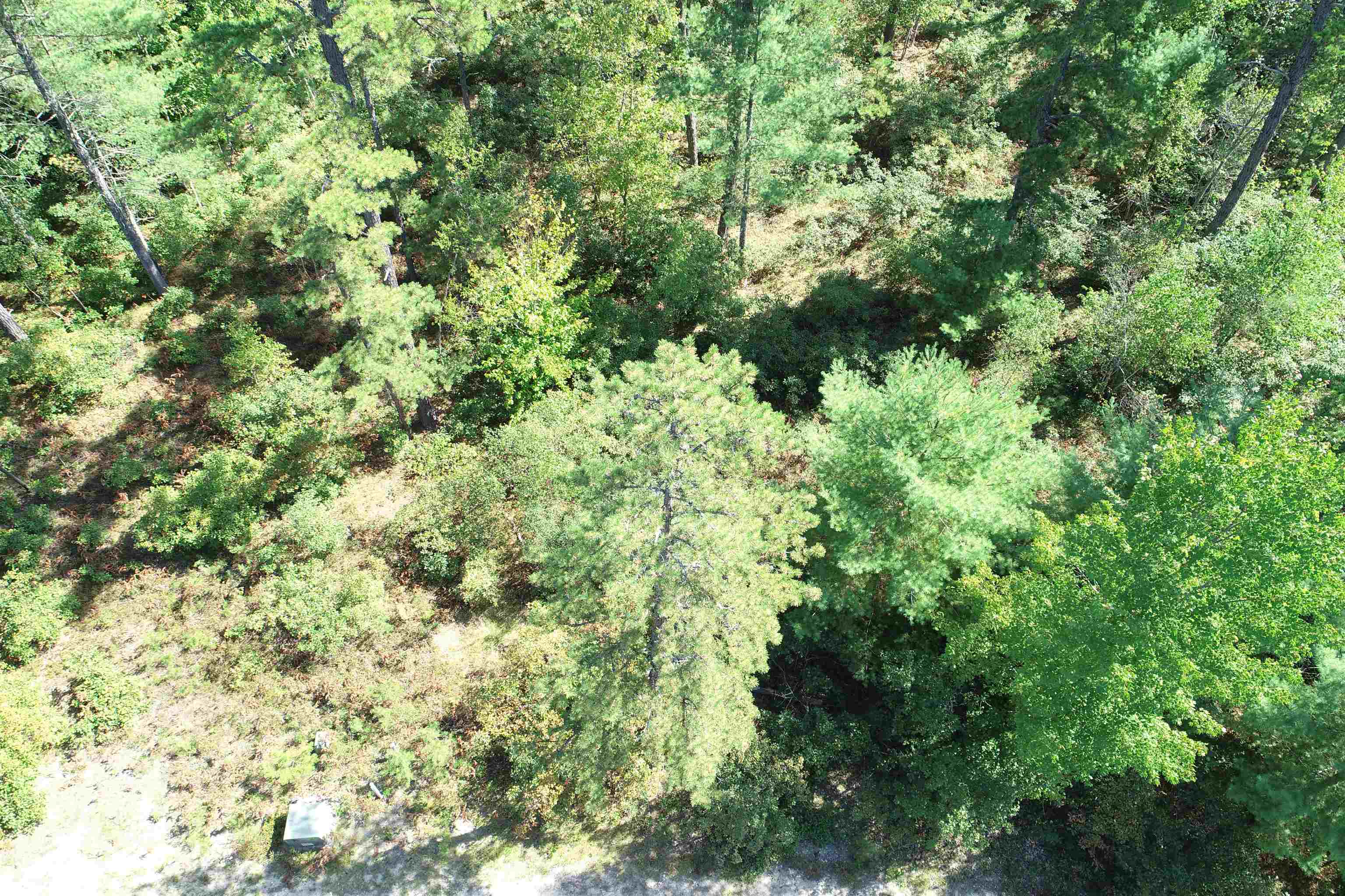 5-11 Friedman Lane, Unit 11 Freedom, NH 03836 - Photo 7 of 9