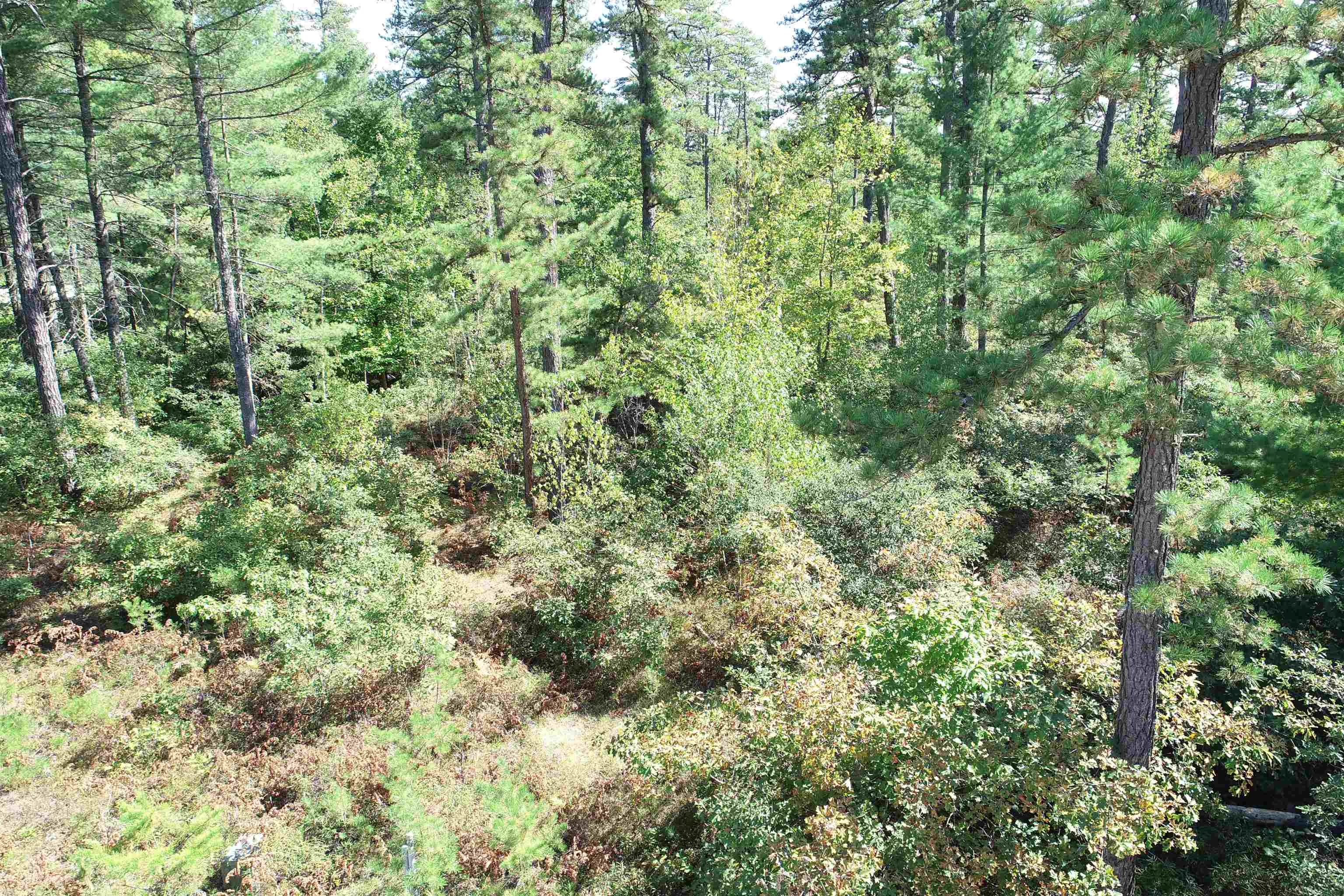 5-11 Friedman Lane, Unit 11 Freedom, NH 03836 - Photo 8 of 9