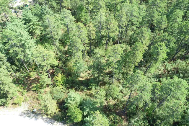 $55,000 | 5-11 Friedman Lane, Unit 11, Freedom, NH 03836