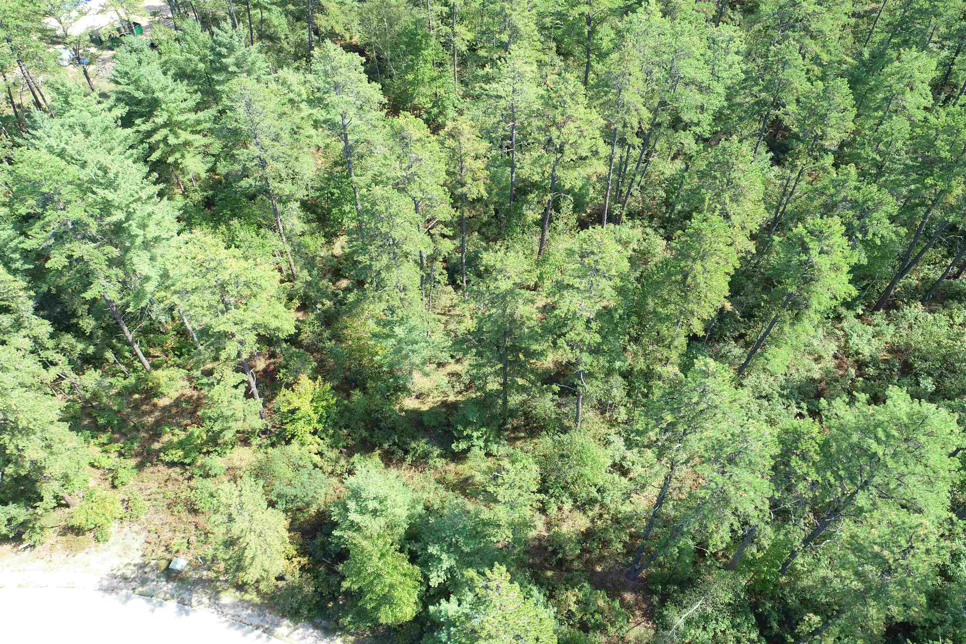 5-11 Friedman Lane, Unit 11 Freedom, NH 03836 - Photo 9 of 9