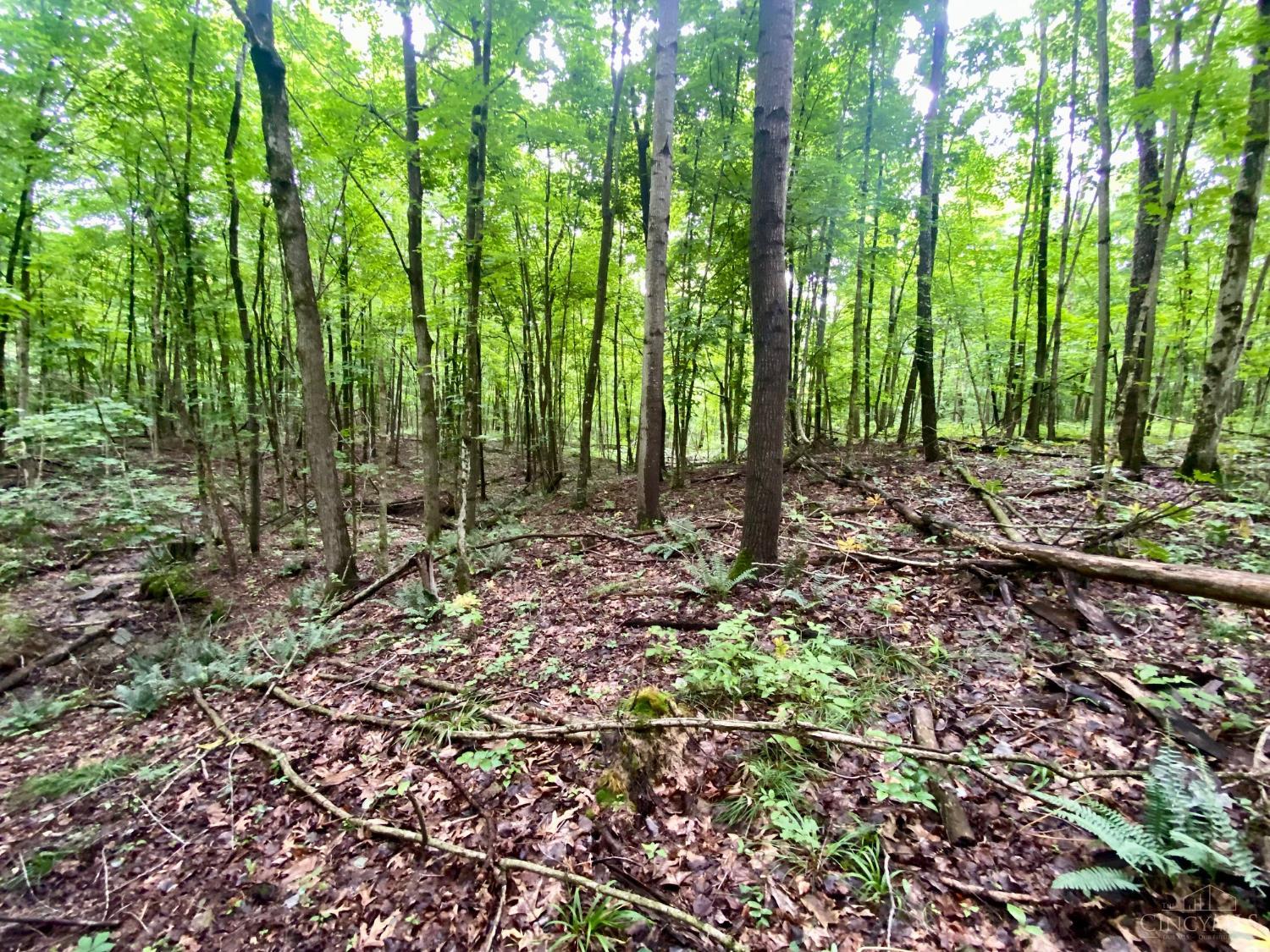 400 Lynn Morgan Road Seaman, OH 45679 - Photo 15 of 24