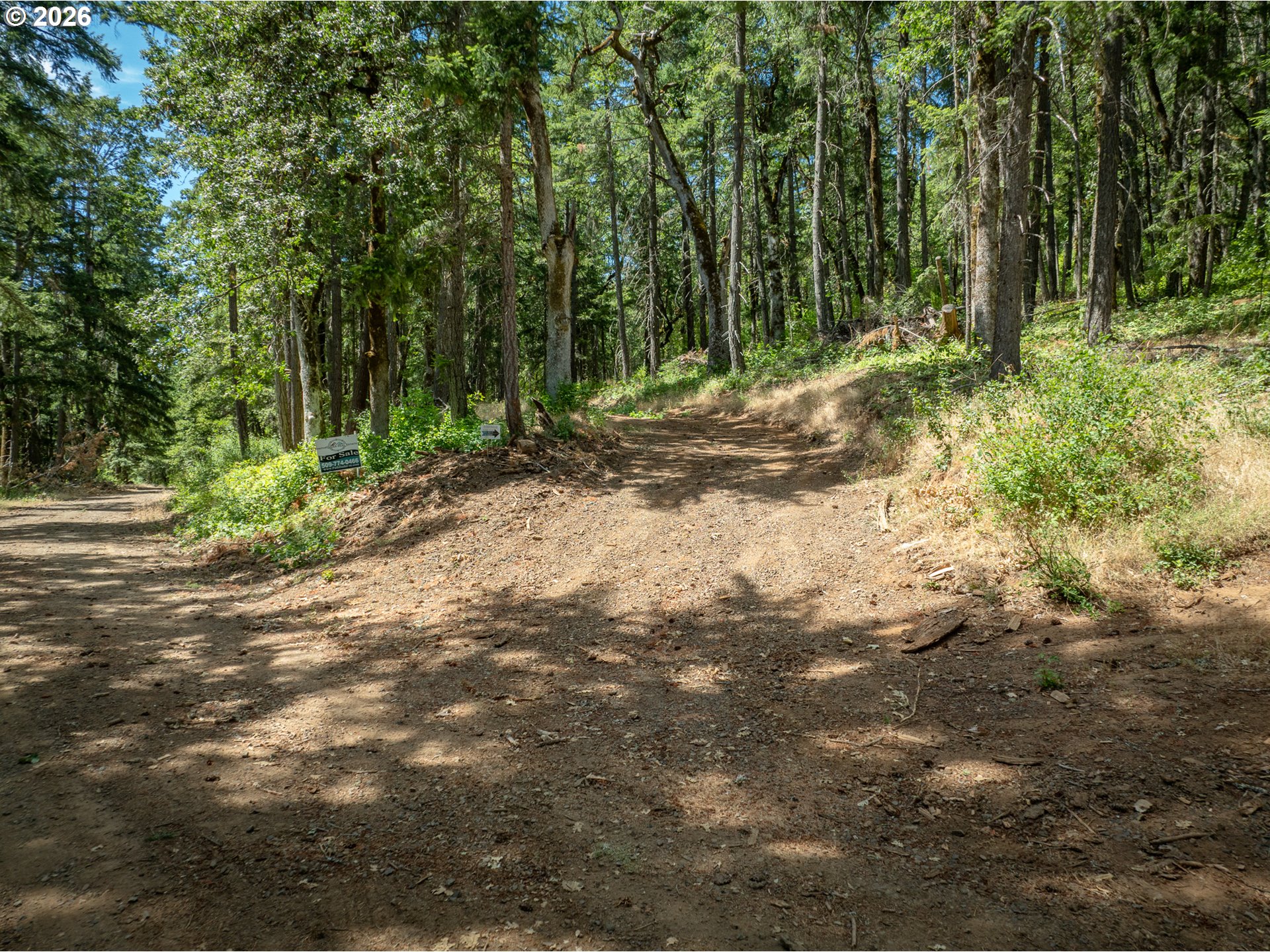 Lyons Road White Salmon, WA 98672 - Photo 9 of 35 View
