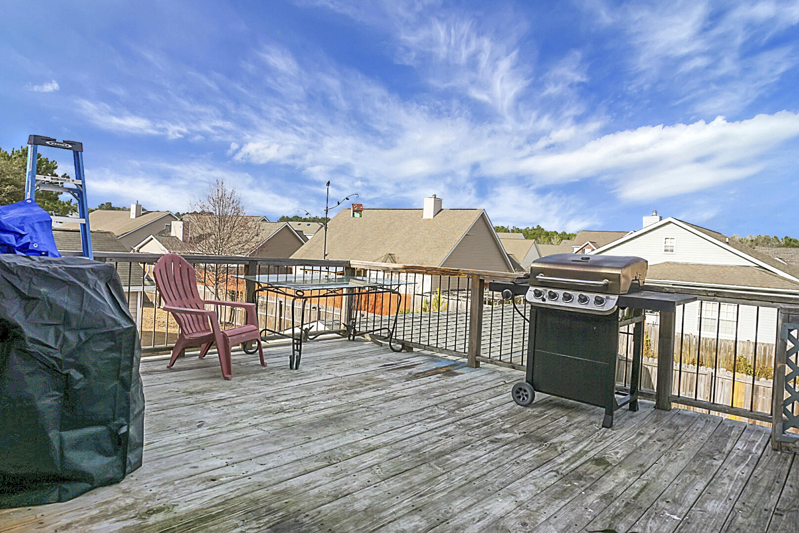 230 Pemberly Boulevard Summerville, SC 29486 - Photo 24 of 33 dsc00589