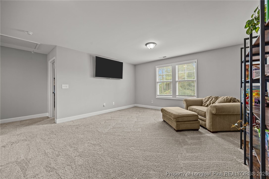 3079 Wade-Stedman Road Stedman, NC 28391 - Photo 26 of 50 a living room with furniture and a flat screen tv