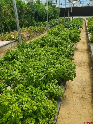 $524,000 | 5200 Road 21, Cortez, CO 81321