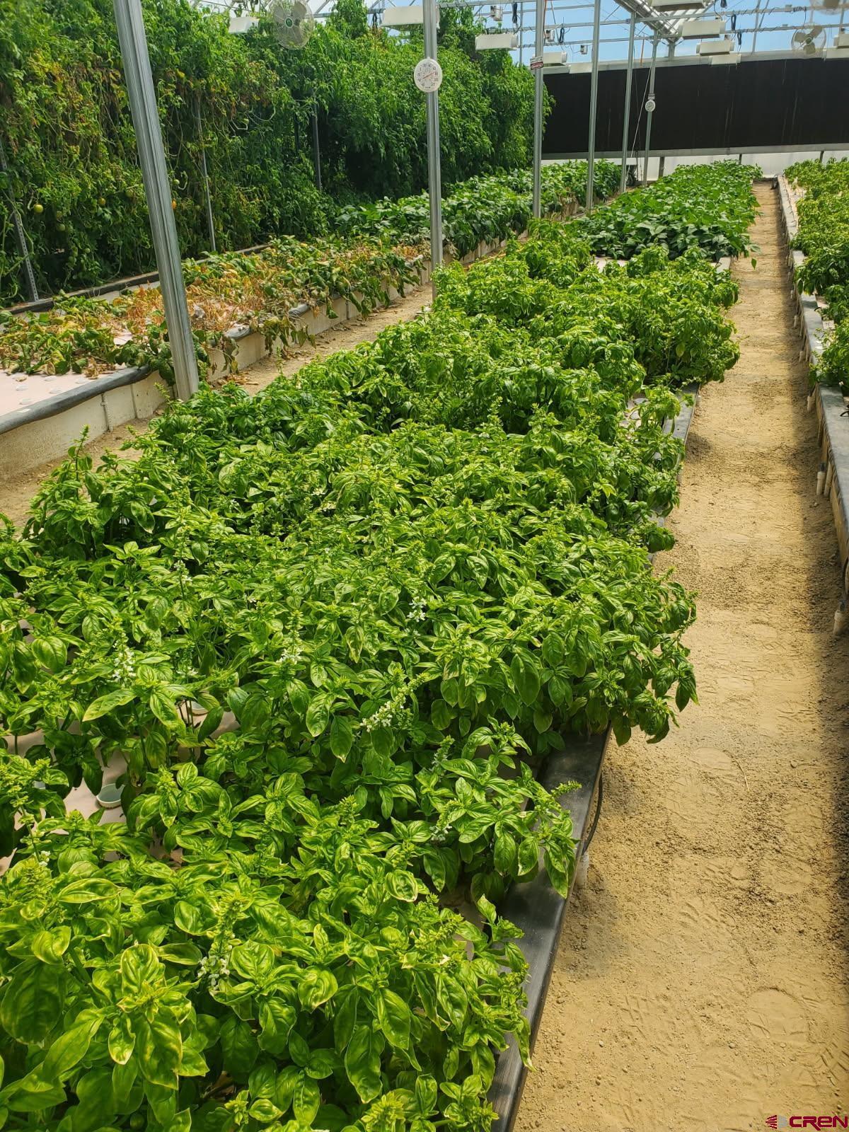 5200 Road 21 Cortez, CO 81321 - Photo 20 of 38 a view of a garden with a tree