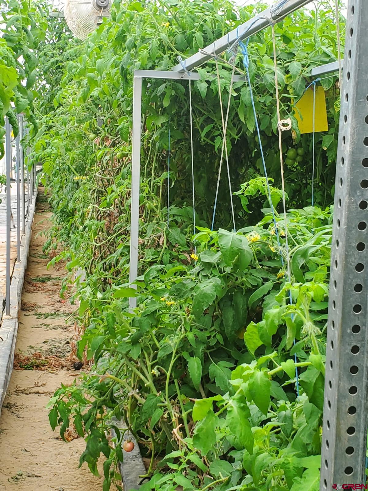 5200 Road 21 Cortez, CO 81321 - Photo 22 of 38