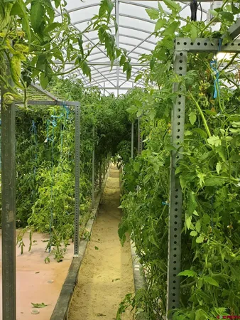 $524,000 | 5200 Road 21, Cortez, CO 81321