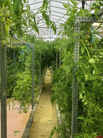 a view of a backyard of the house