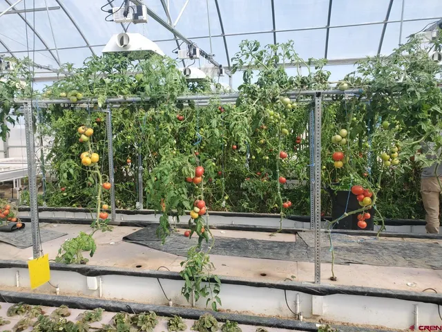 a view of a road with a yard