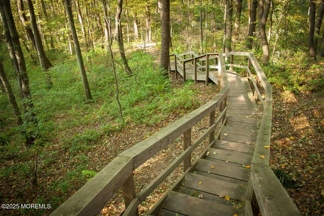 a view of wooden deck and lake with trees in the background