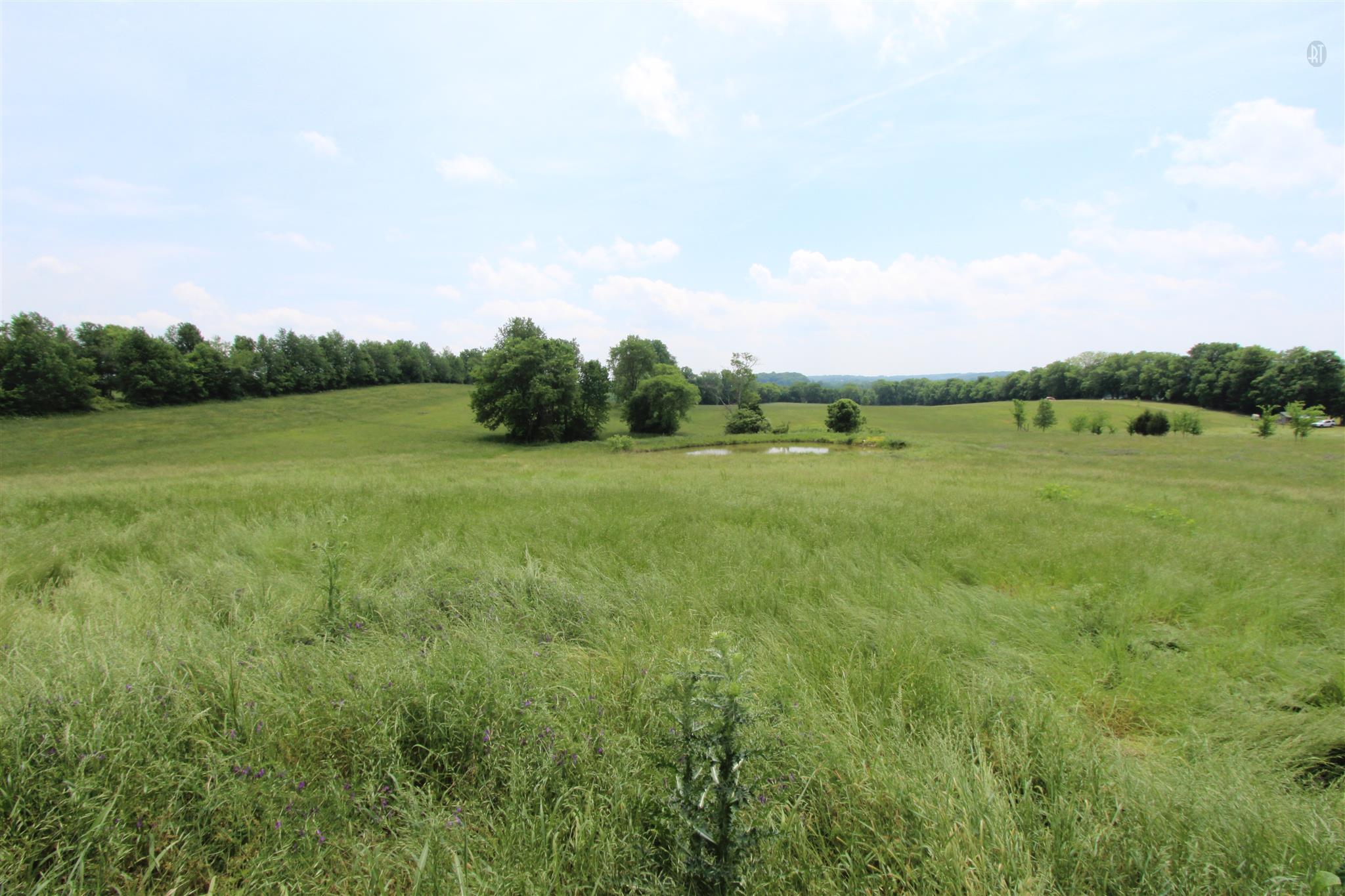 930 Young Road Lebanon, TN 37090 - Photo 11 of 25