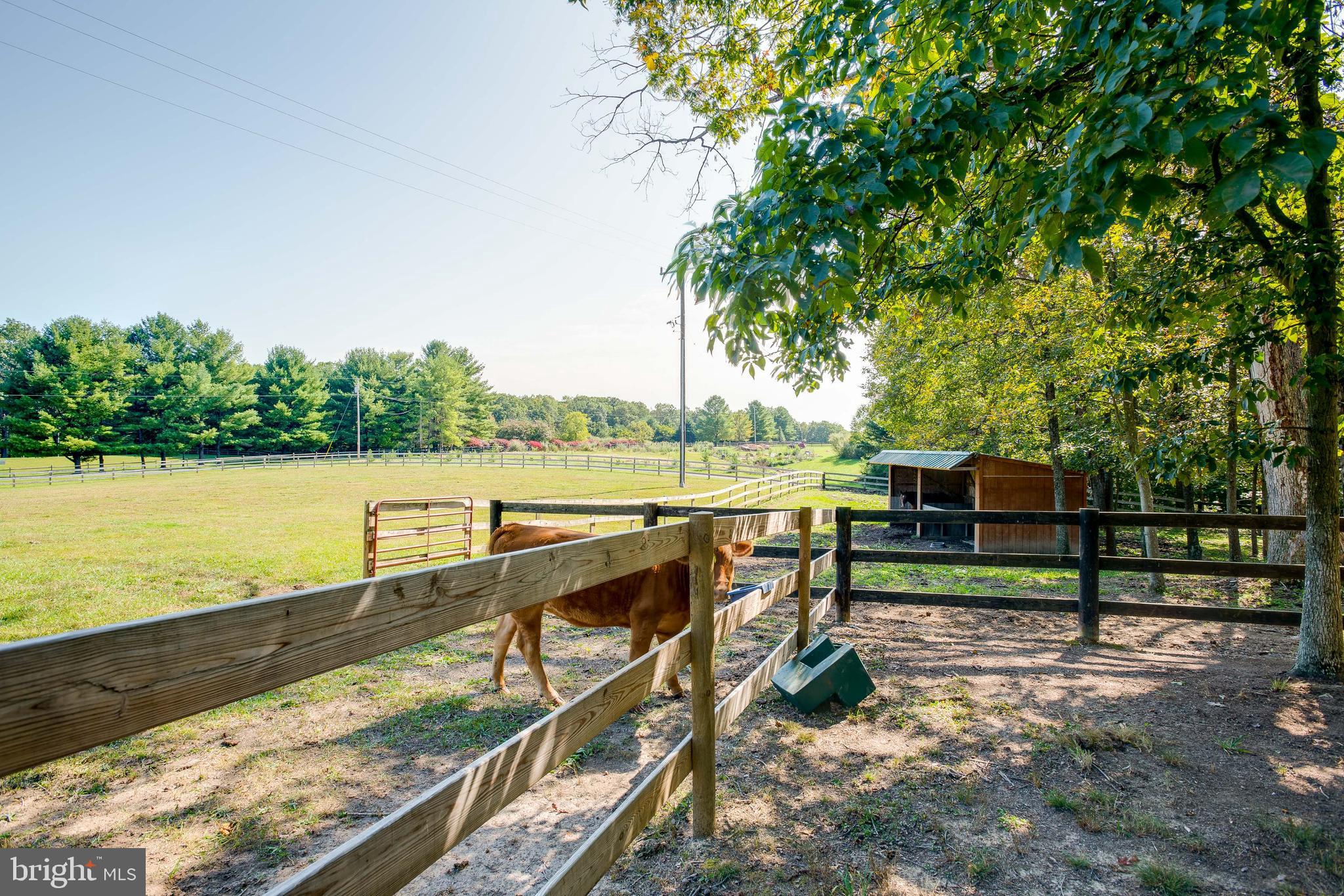 716 Gafia Lodge Road Middletown, VA 22645 - Photo 45 of 46