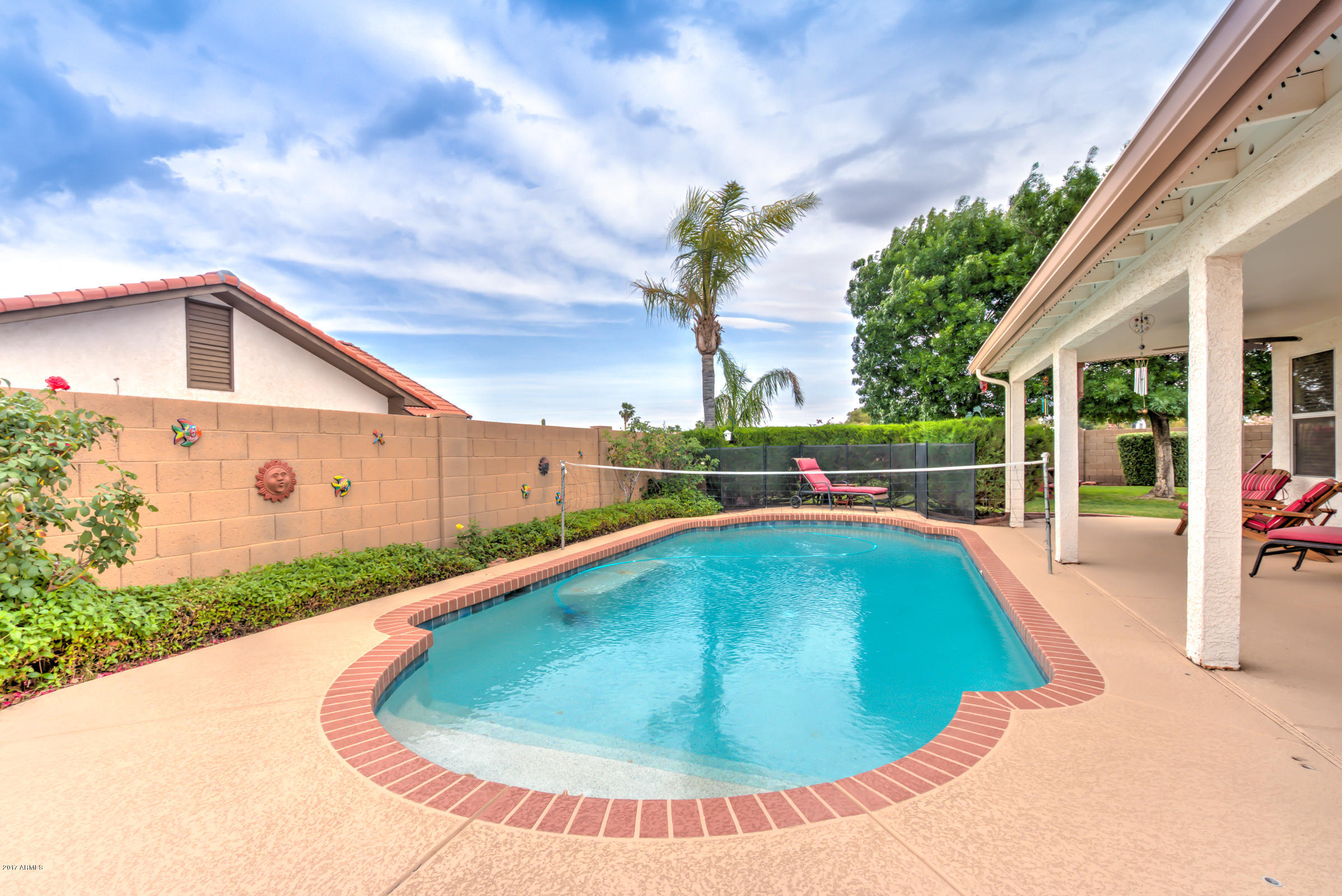 2452 North Rugby Mesa, AZ 85215 - Photo 37 of 61 Pool time! Play time!