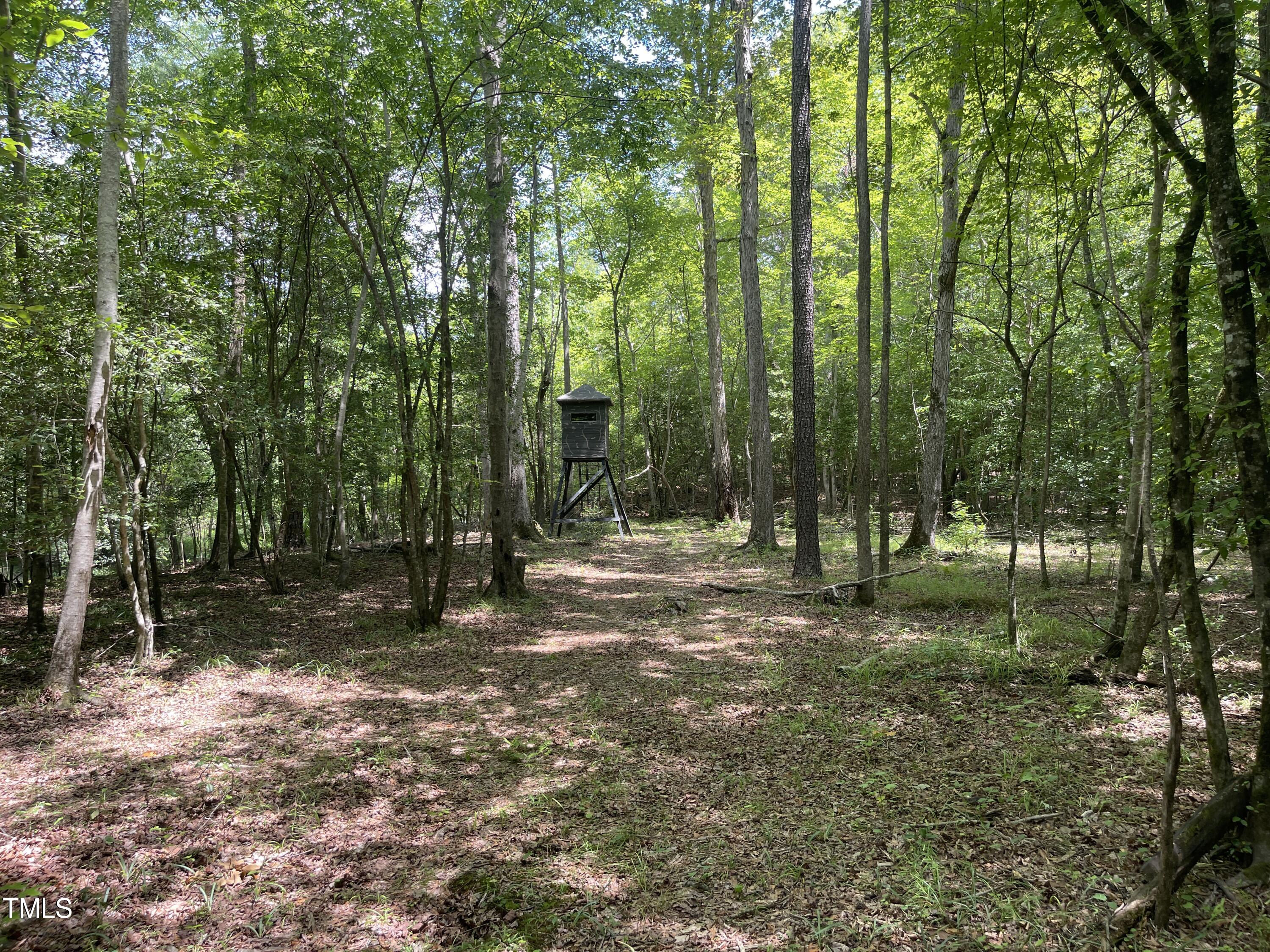 7588 Sadie Road Kenly, NC 27542 - Photo 5 of 58 a view of a tree in a yard