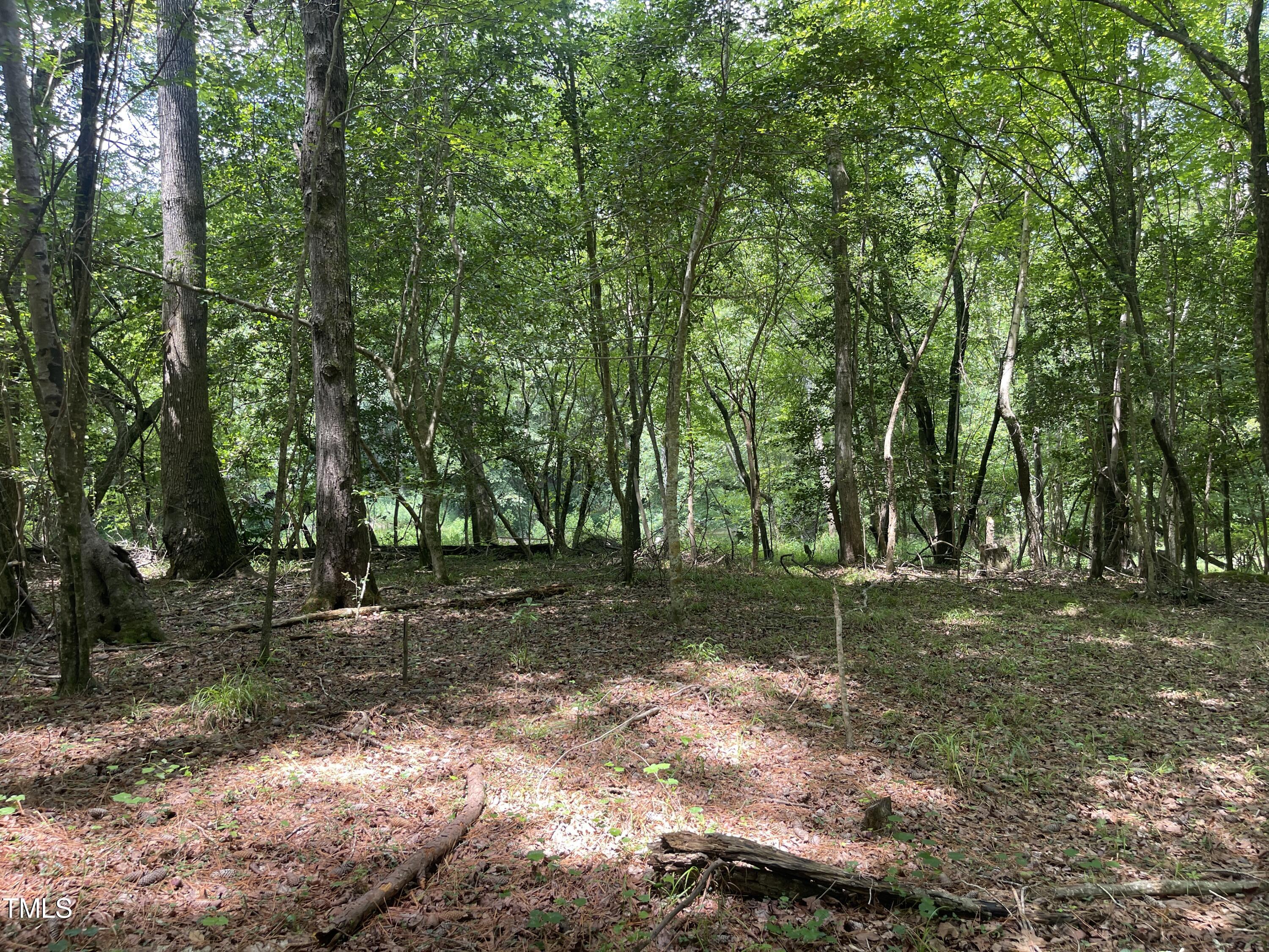 7588 Sadie Road Kenly, NC 27542 - Photo 6 of 58 a backyard of a house with trees