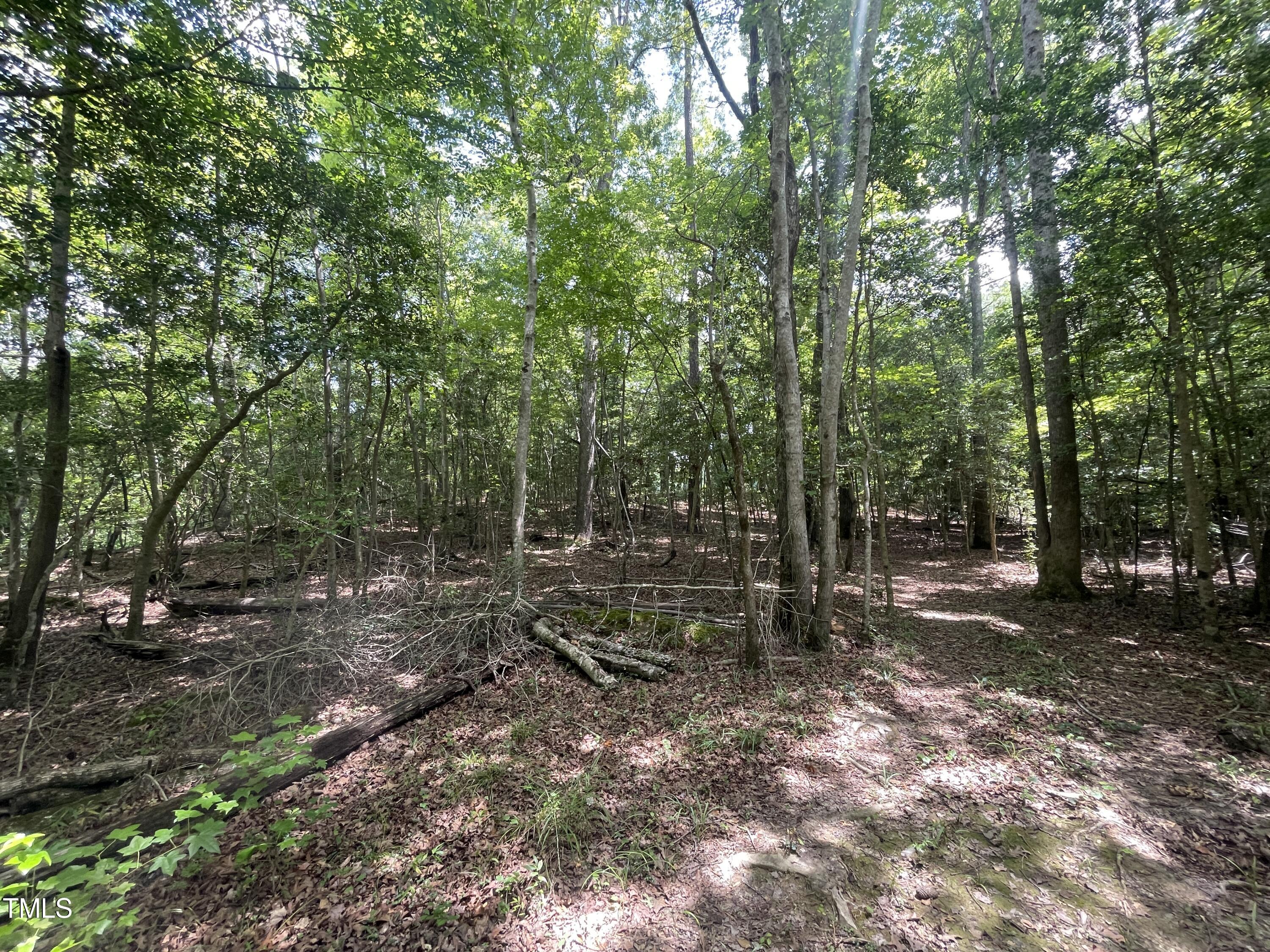 7588 Sadie Road Kenly, NC 27542 - Photo 7 of 58 a view of a forest with trees