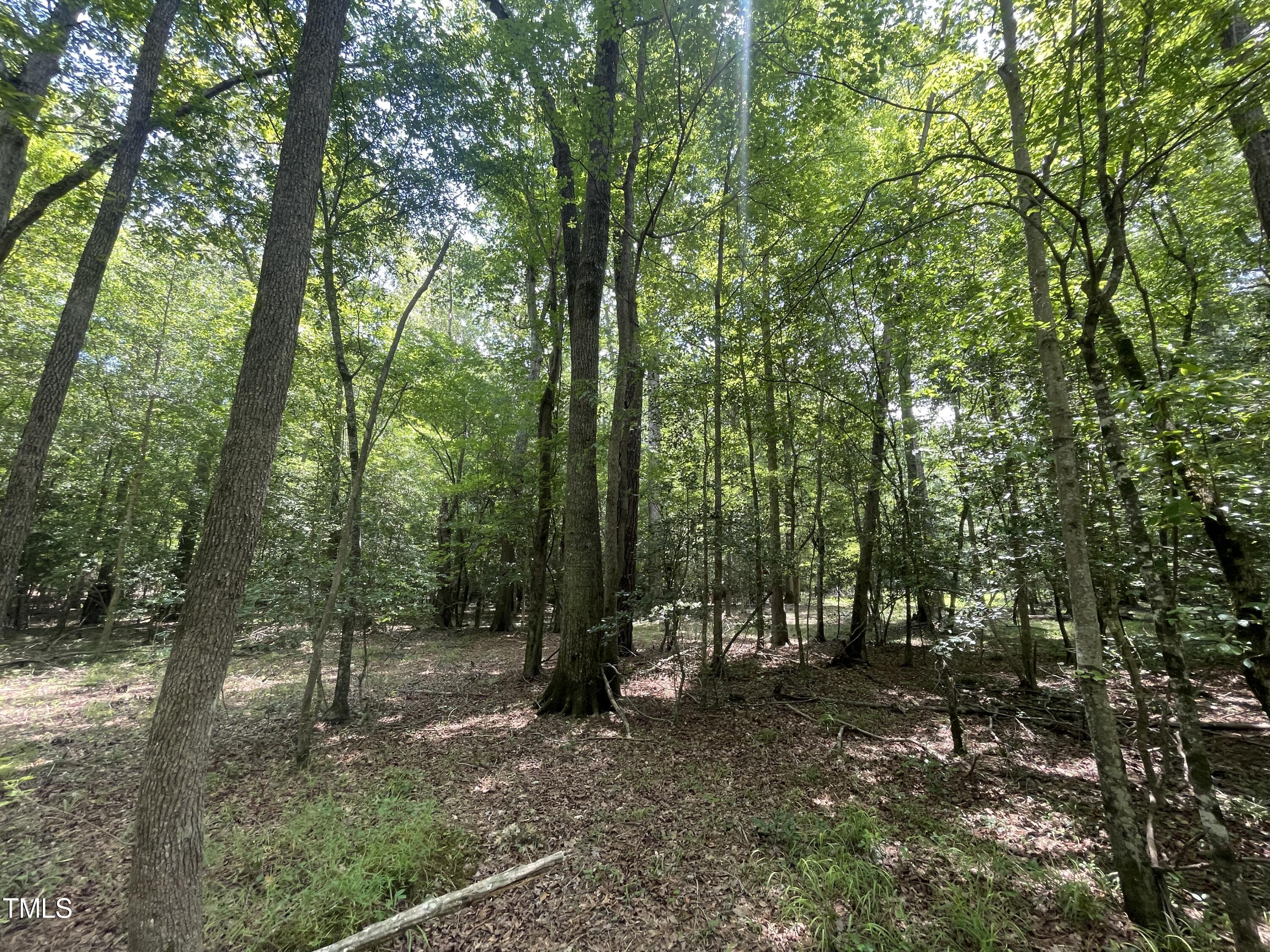 7588 Sadie Road Kenly, NC 27542 - Photo 8 of 58 a view of outdoor space and green space